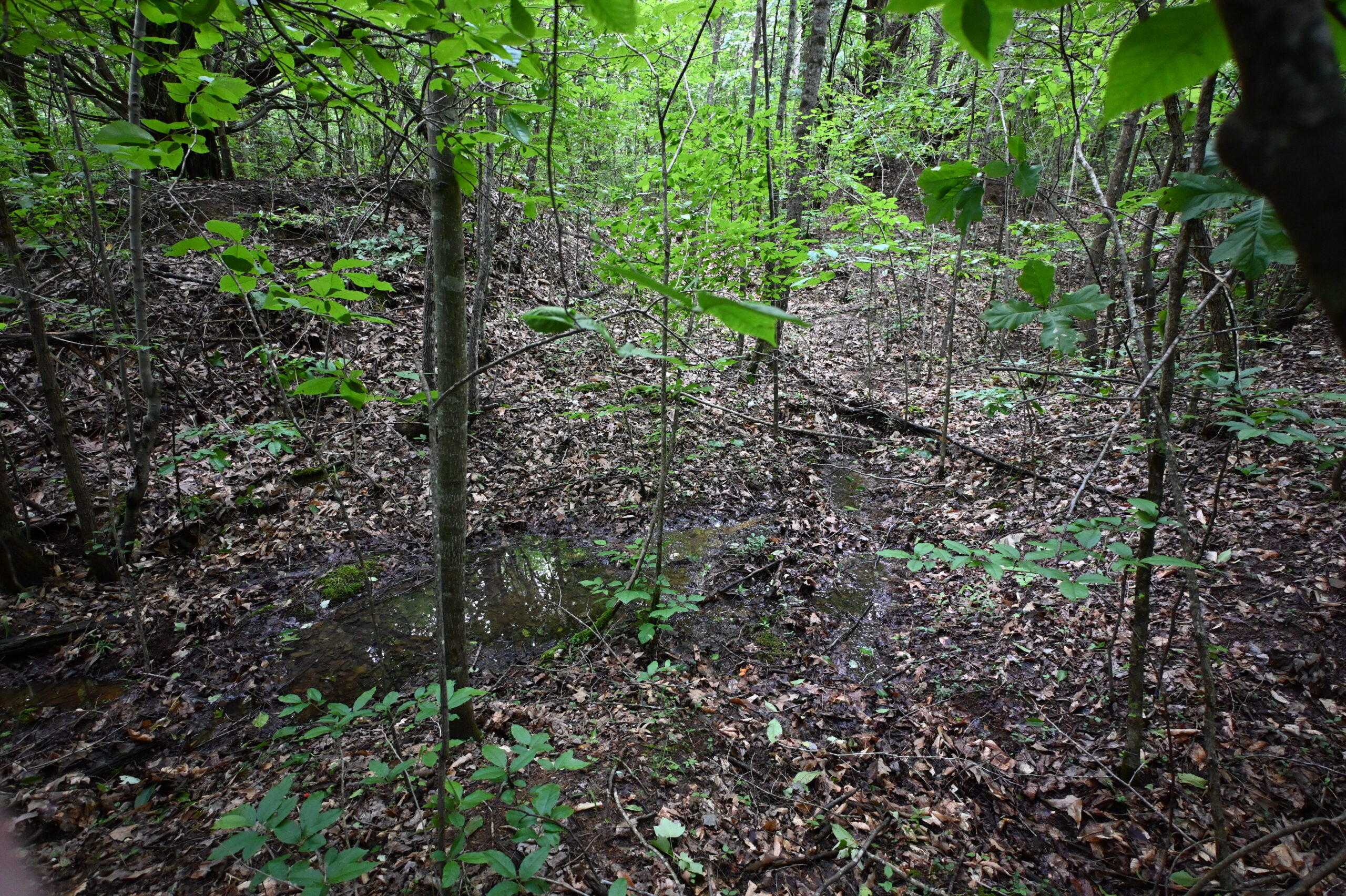 65.84 Acres for Sale in Decaturville, Tennessee