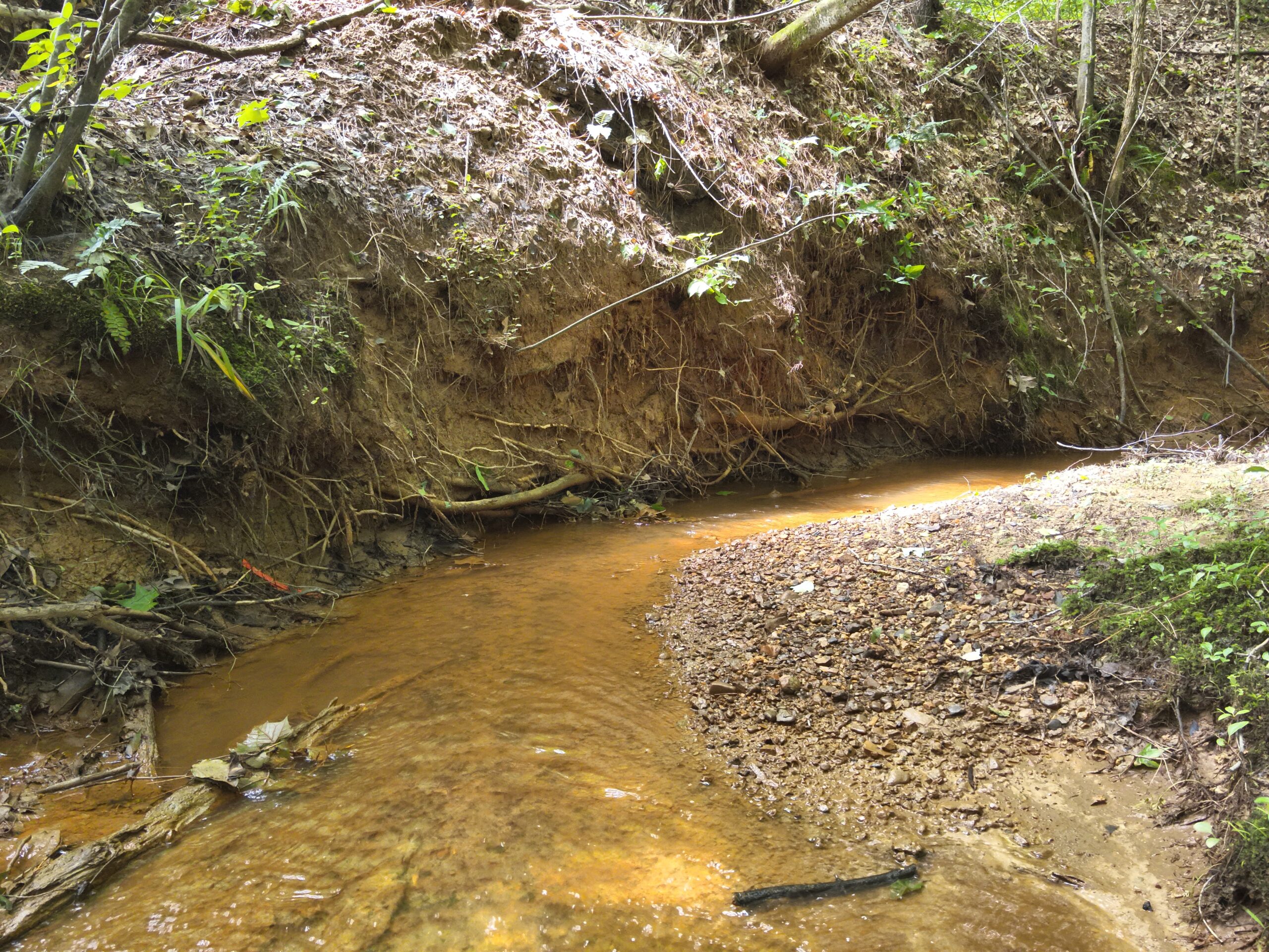 65.84 Acres for Sale in Decaturville, Tennessee