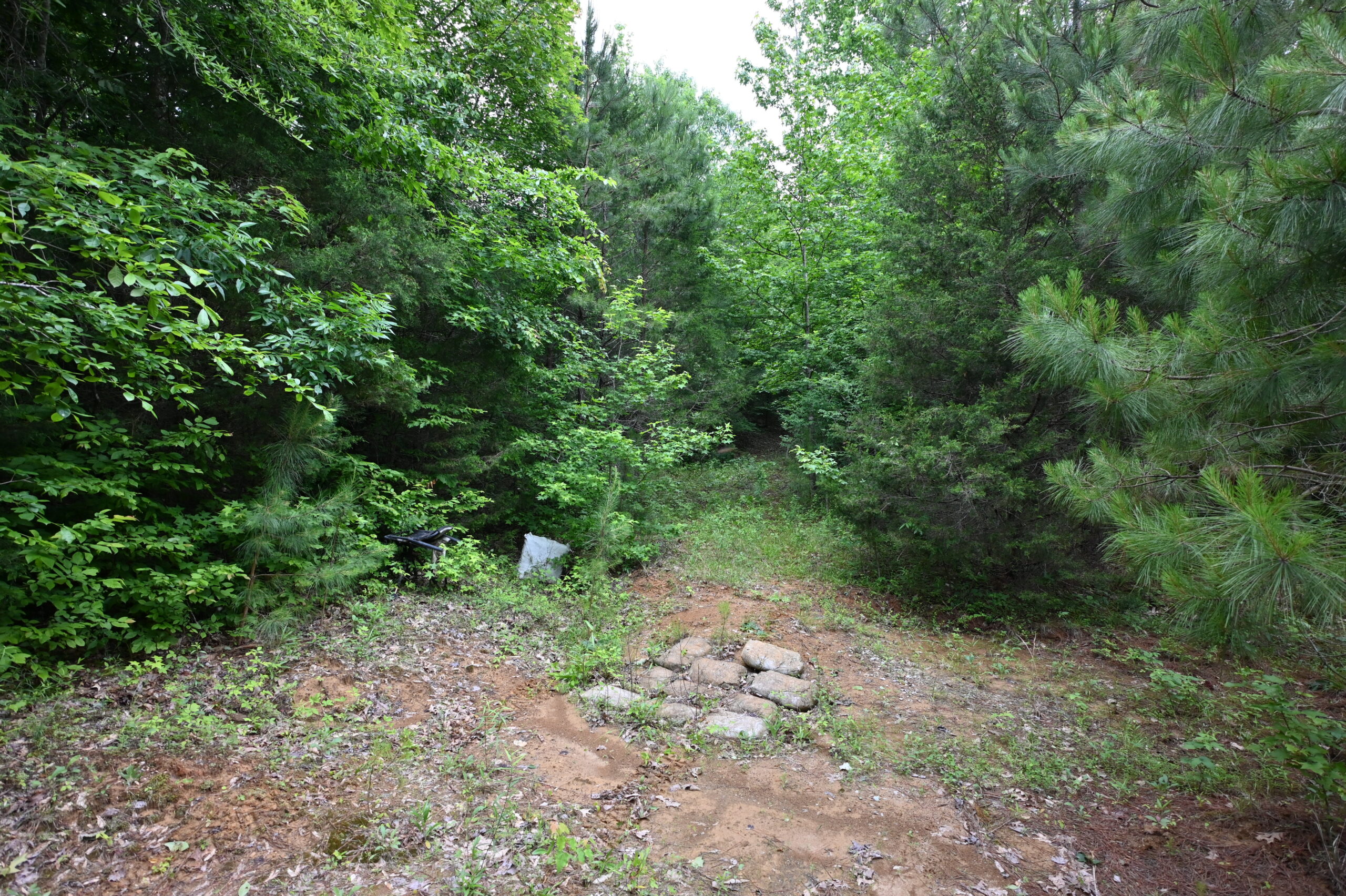 65.84 Acres for Sale in Decaturville, Tennessee