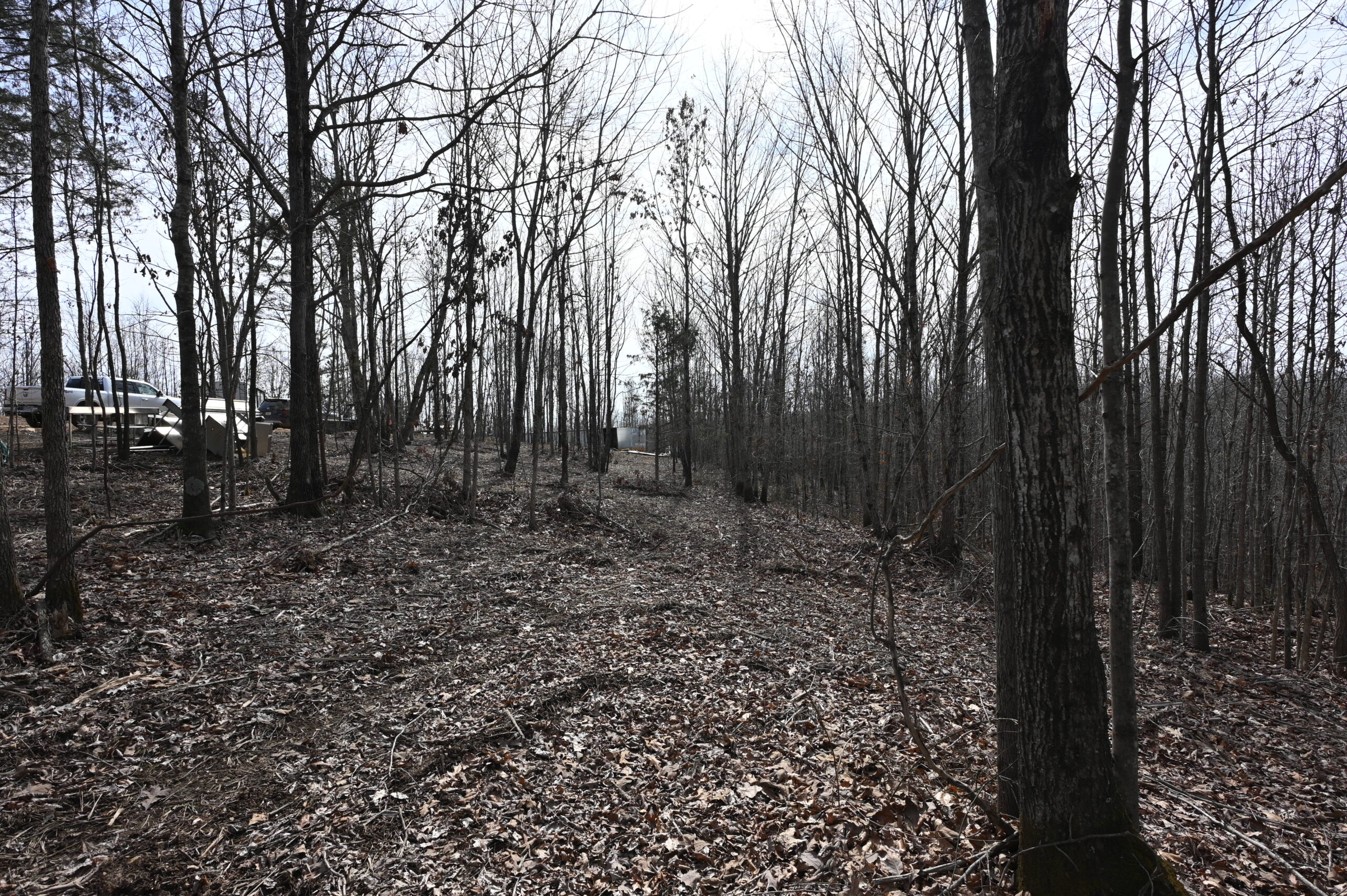 12.33 Acres Land for Sale in Perry County, Tennessee