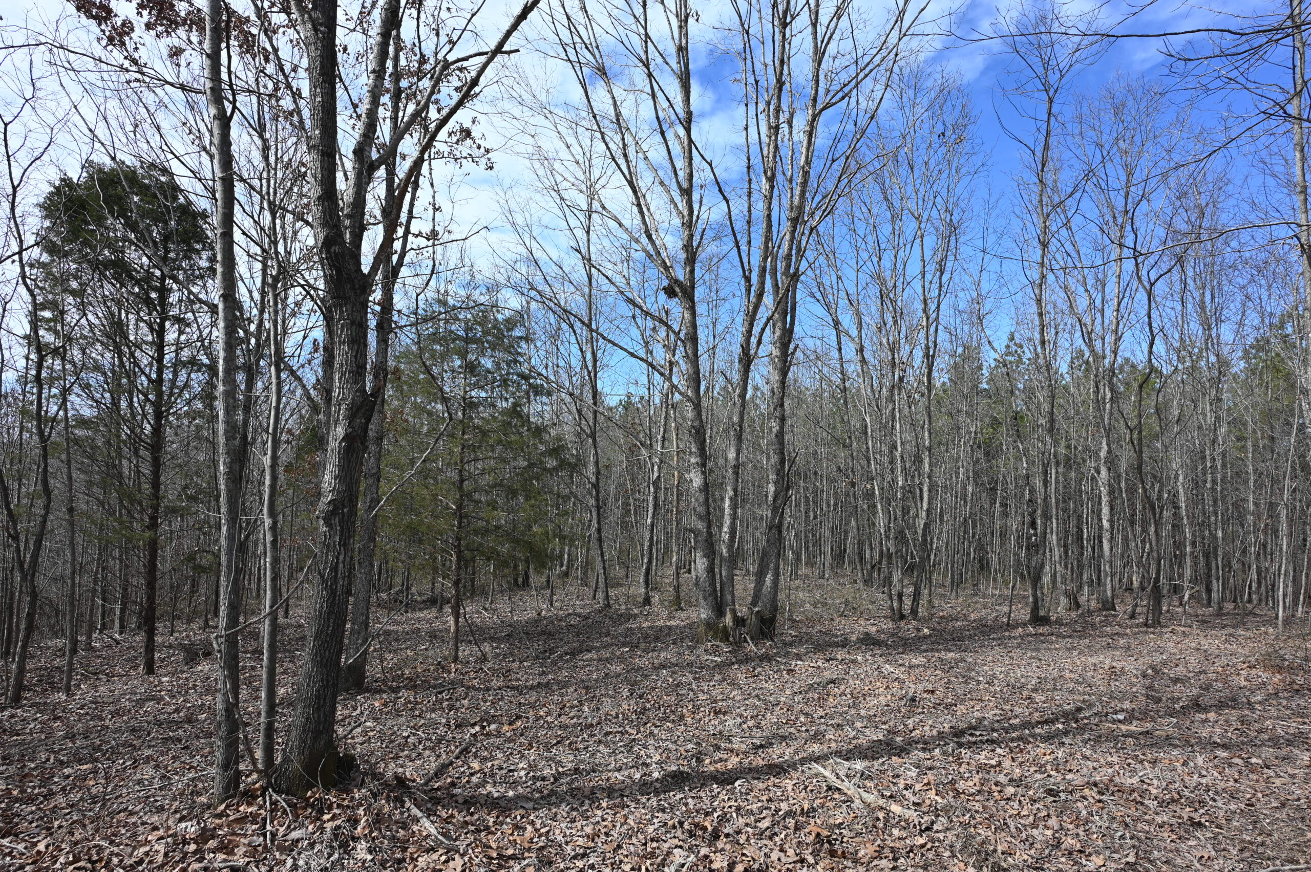 12.33 Acres Land for Sale in Perry County, Tennessee