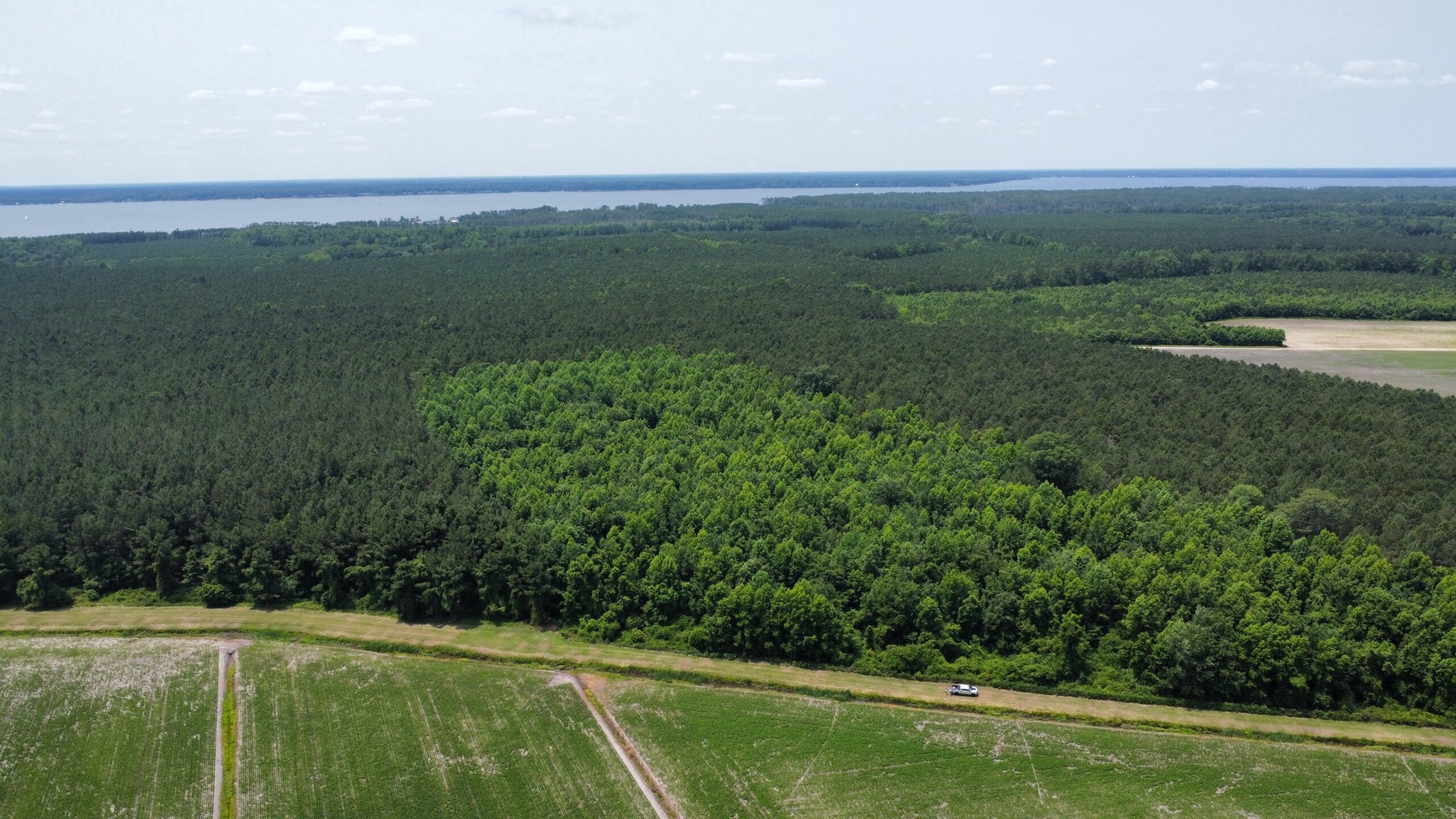 25 AC Timber & Hunting Tract Near Bath, NC – Secluded Gem