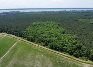 25 AC Timber & Hunting Tract Near Bath, NC – Secluded Gem