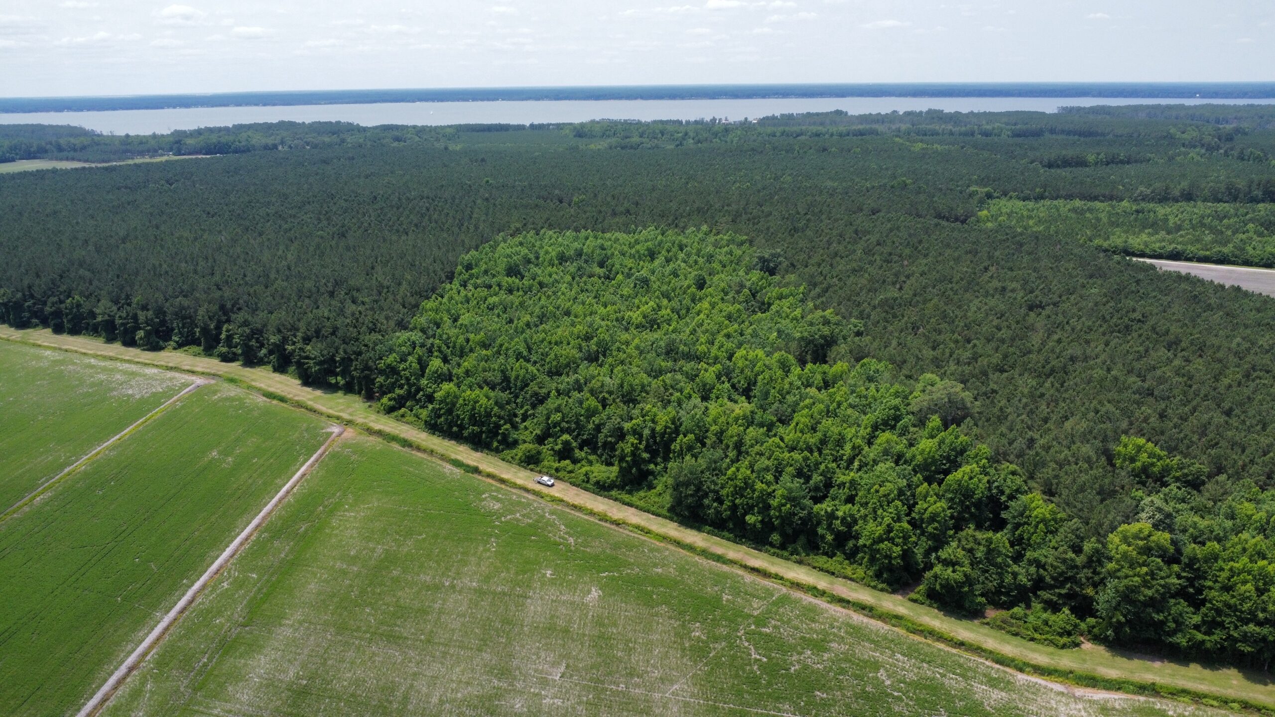 25 AC Timber & Hunting Tract Near Bath, NC – Secluded Gem