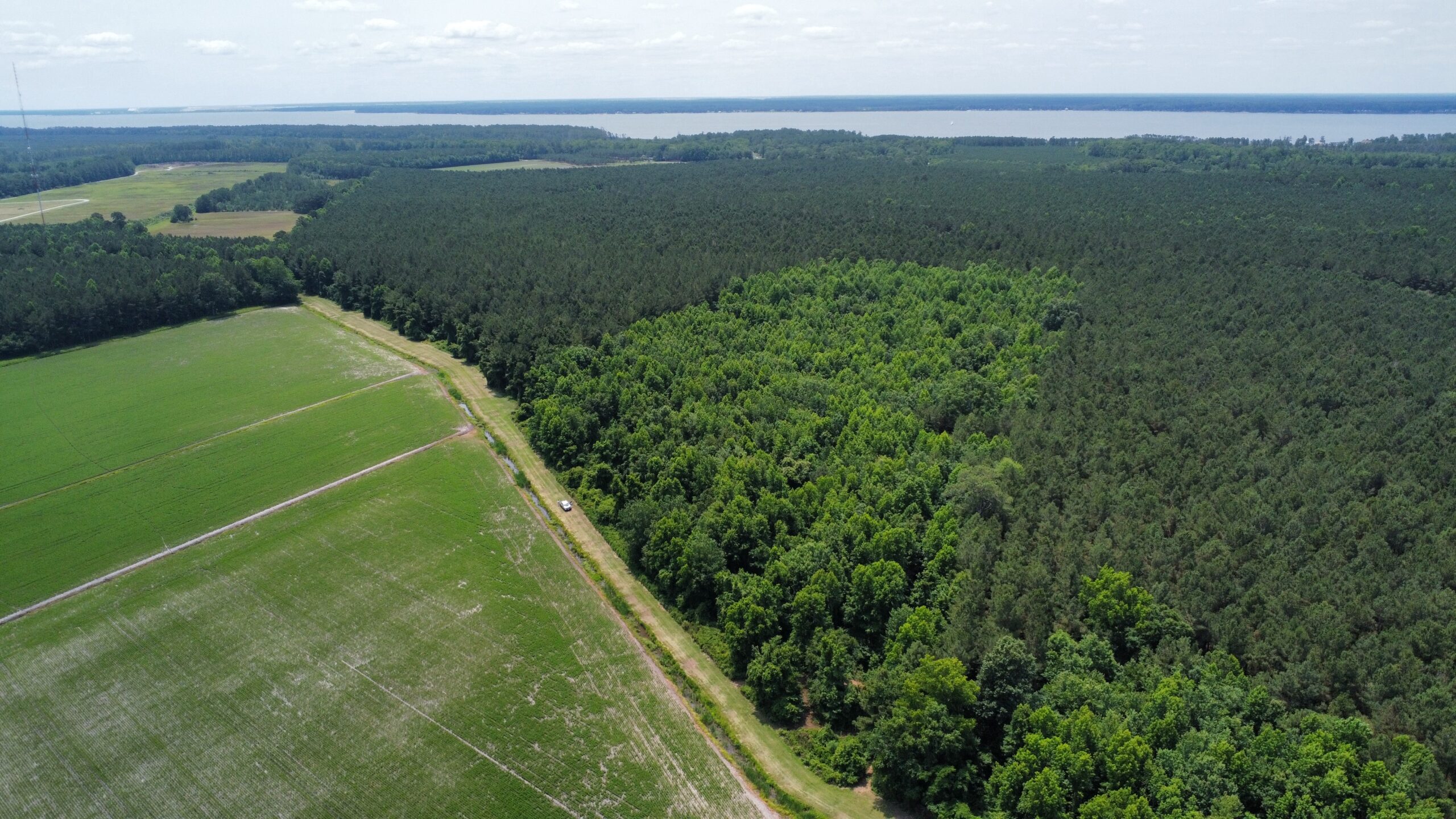 25 AC Timber & Hunting Tract Near Bath, NC – Secluded Gem