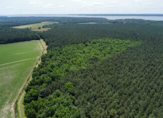25 AC Timber & Hunting Tract Near Bath, NC – Secluded Gem