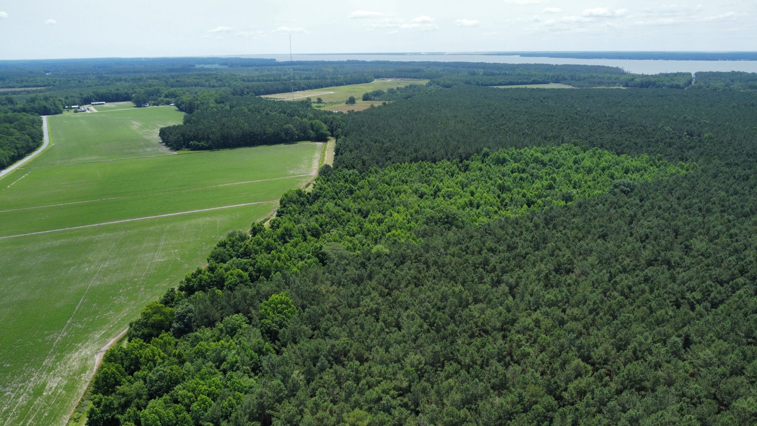 25 AC Timber & Hunting Tract Near Bath, NC – Secluded Gem