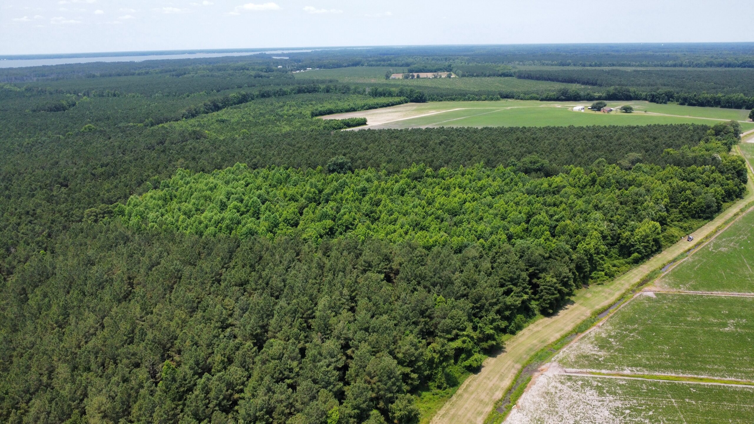 25 AC Timber & Hunting Tract Near Bath, NC – Secluded Gem