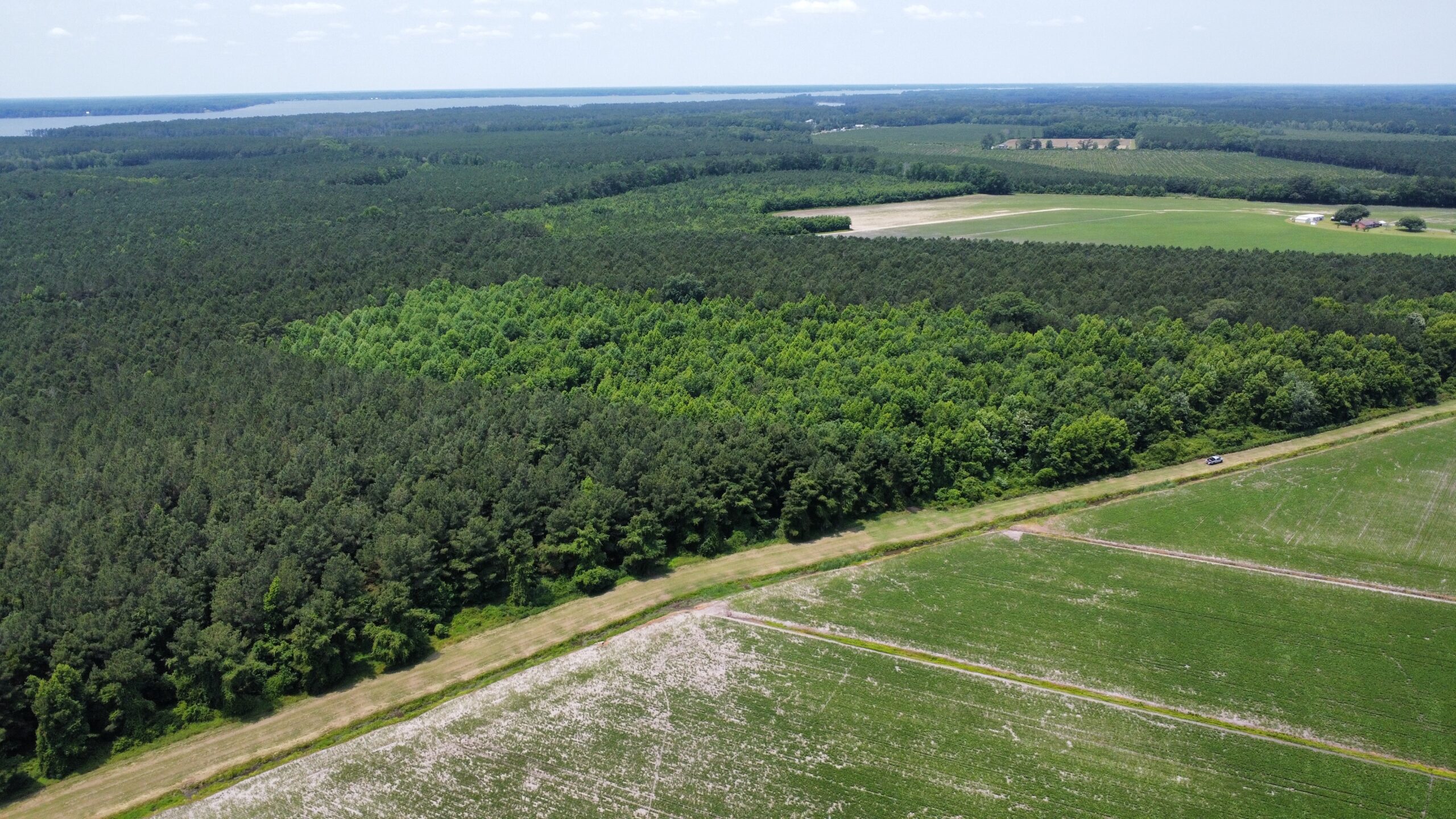 25 AC Timber & Hunting Tract Near Bath, NC – Secluded Gem