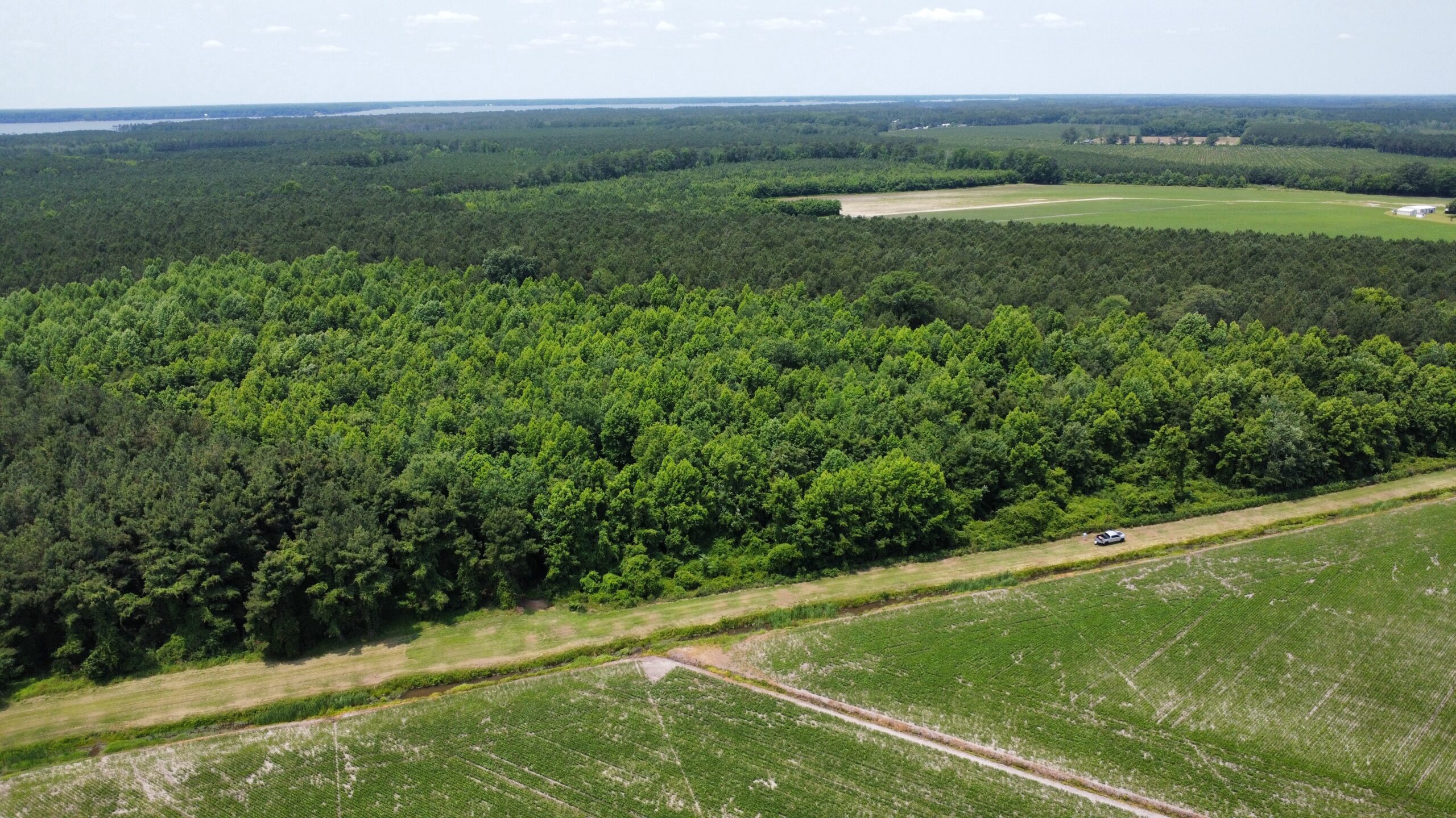 25 AC Timber & Hunting Tract Near Bath, NC – Secluded Gem