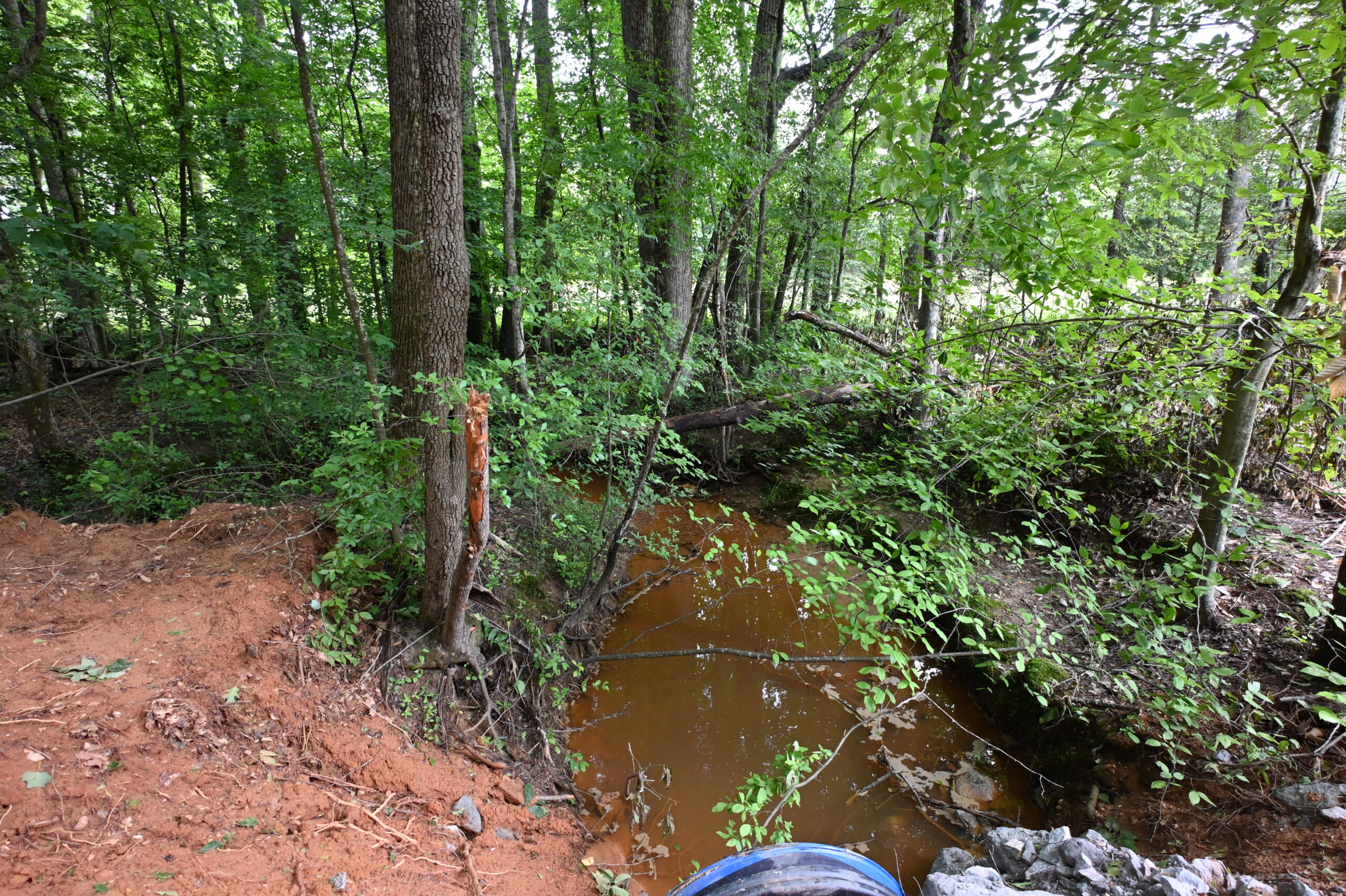 65.84 Acres for Sale in Decaturville, Tennessee