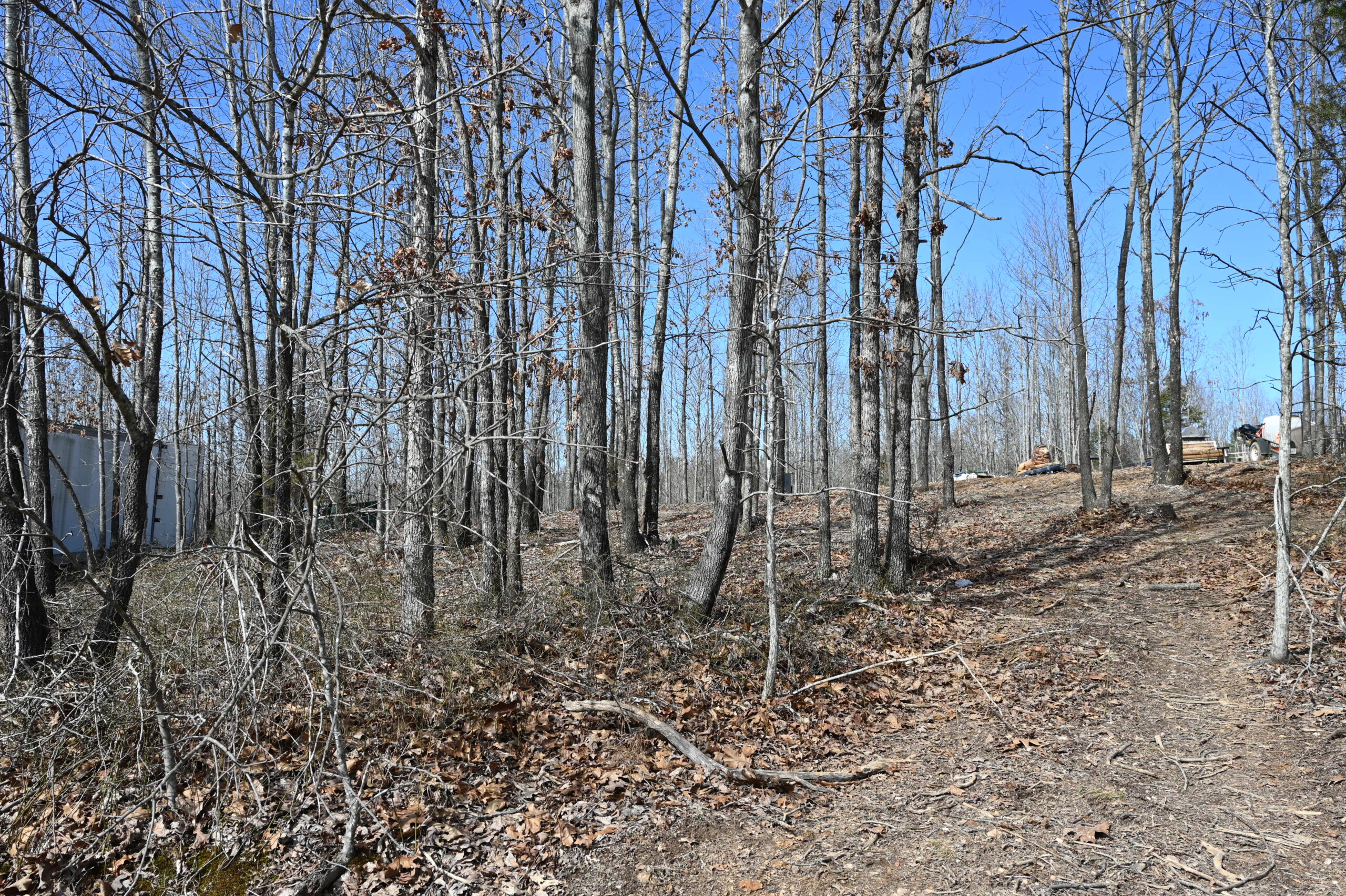 12.33 Acres Land for Sale in Perry County, Tennessee