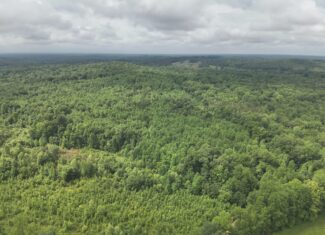65.84 Acres for Sale in Decaturville, Tennessee