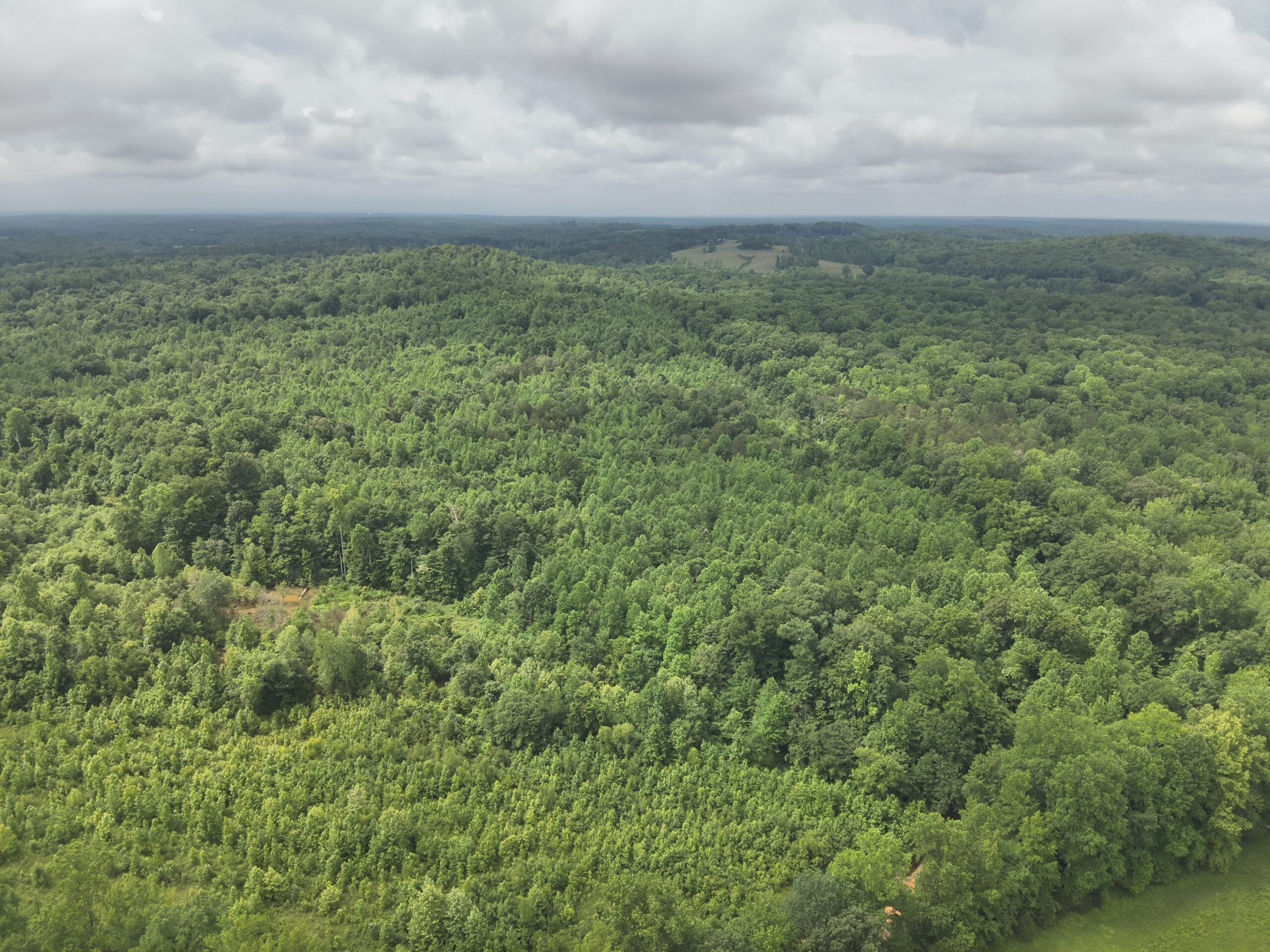65.84 Acres for Sale in Decaturville, Tennessee