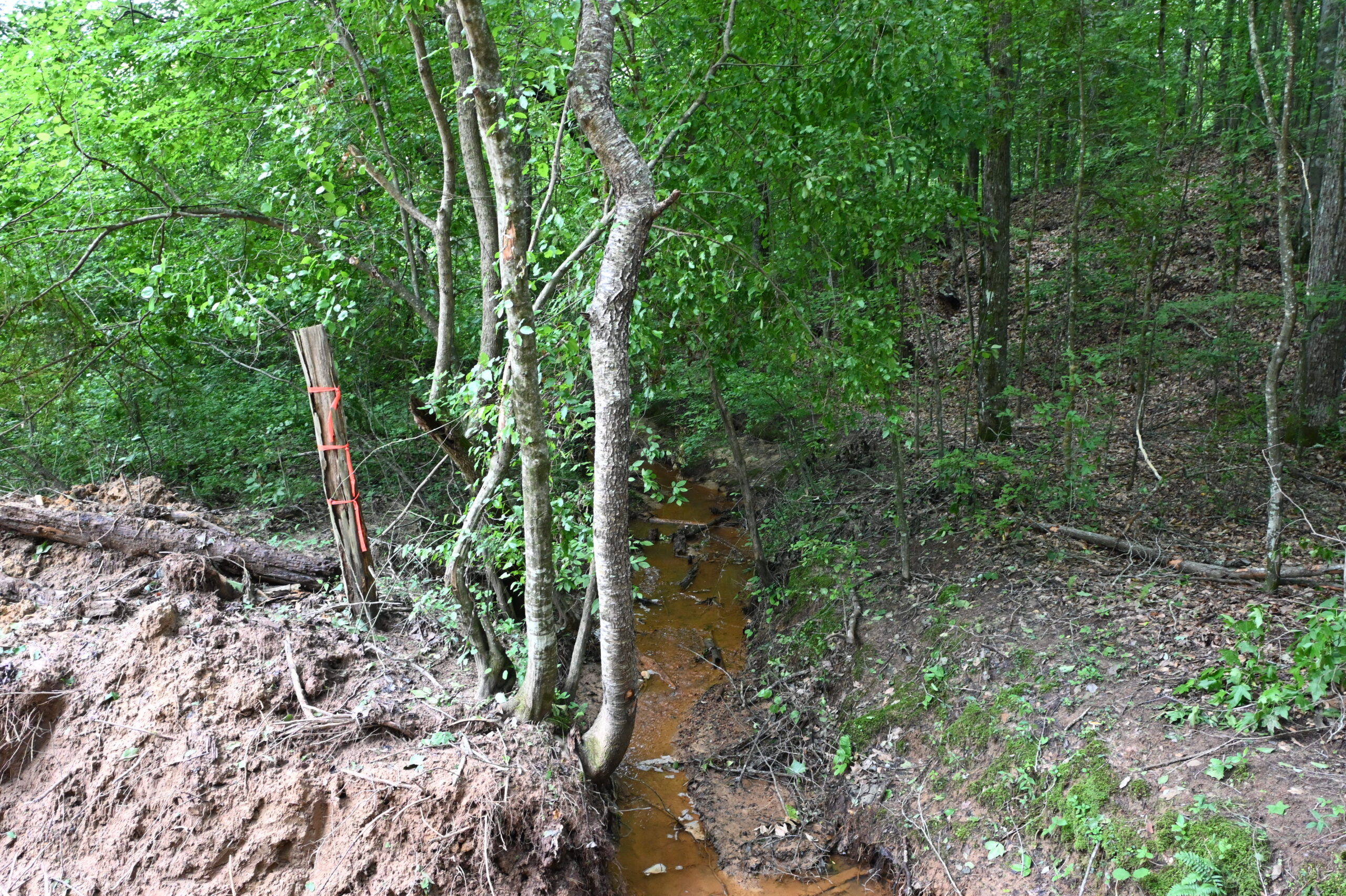 65.84 Acres for Sale in Decaturville, Tennessee