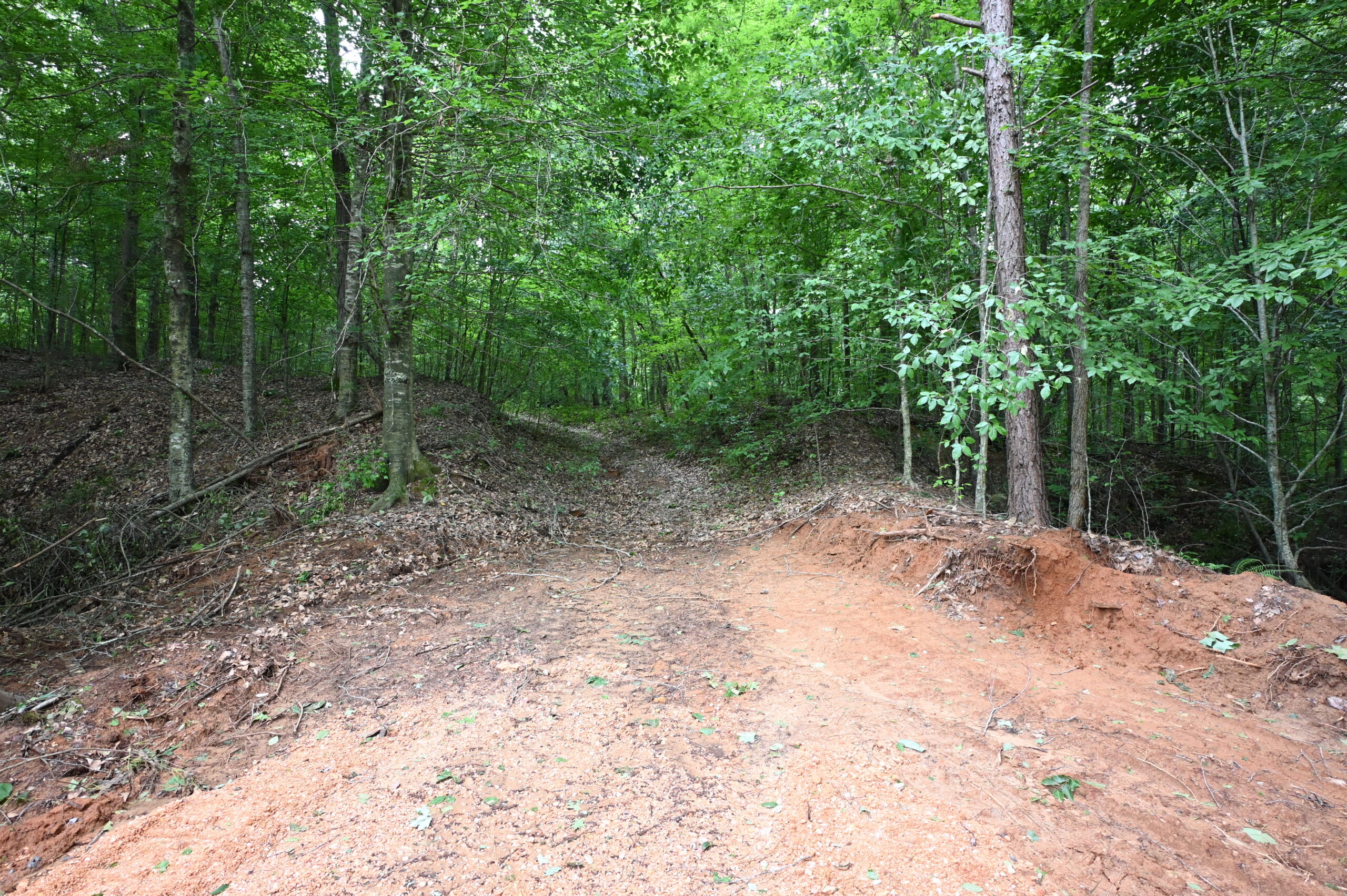 65.84 Acres for Sale in Decaturville, Tennessee