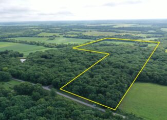 60 Acres m/l | Prime Hunting Farm with Income & Build Site