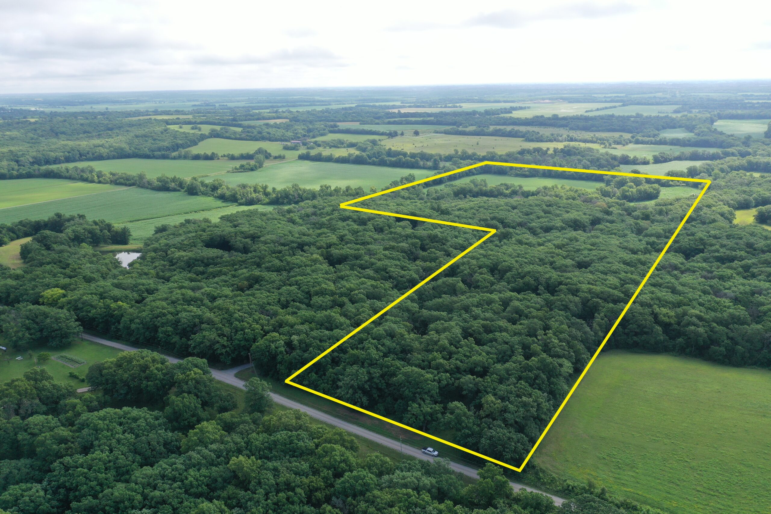 60 Acres m/l | Prime Hunting Farm with Income & Build Site
