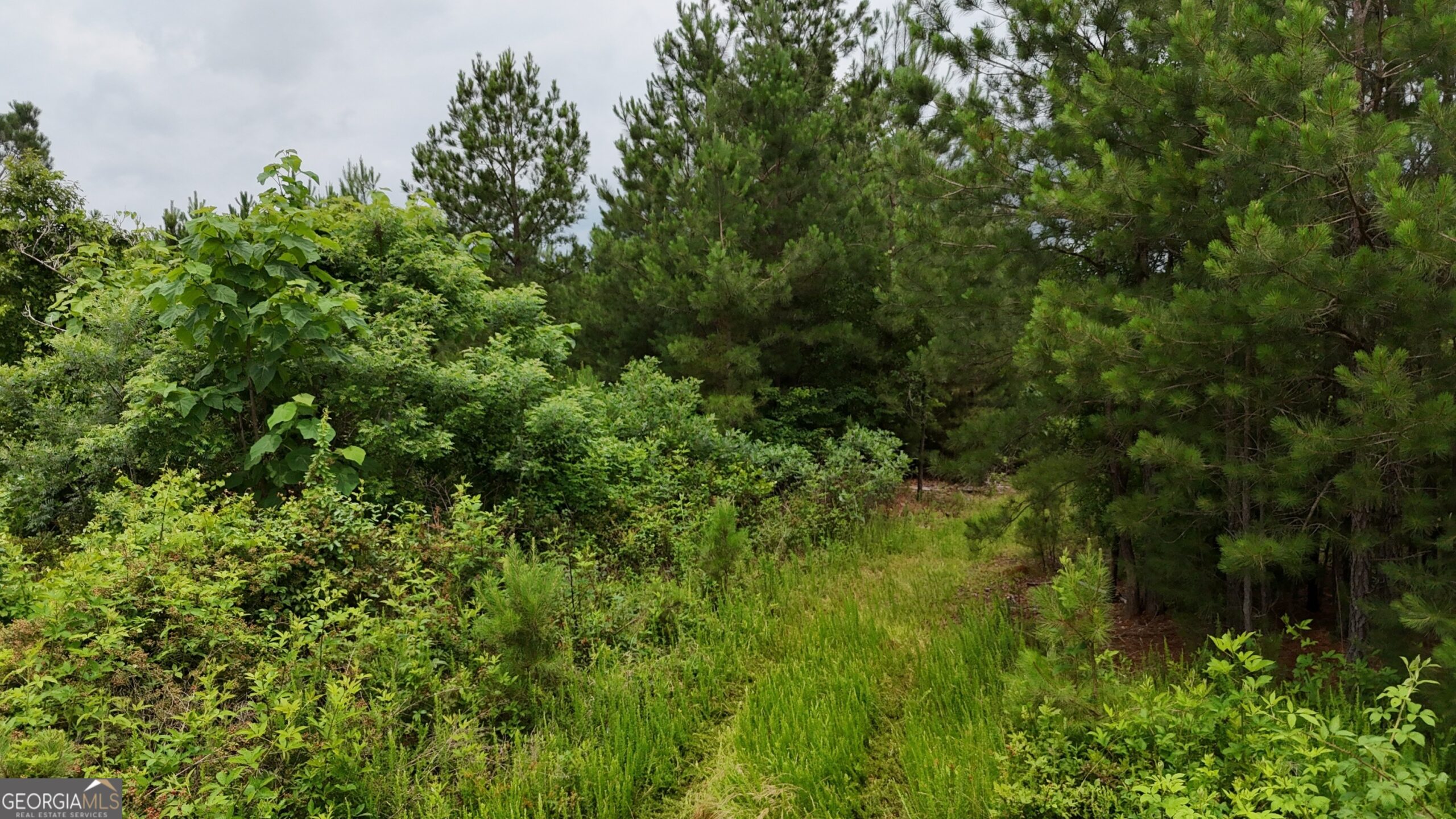4 Emmaus Drive Elberton, GA 30635