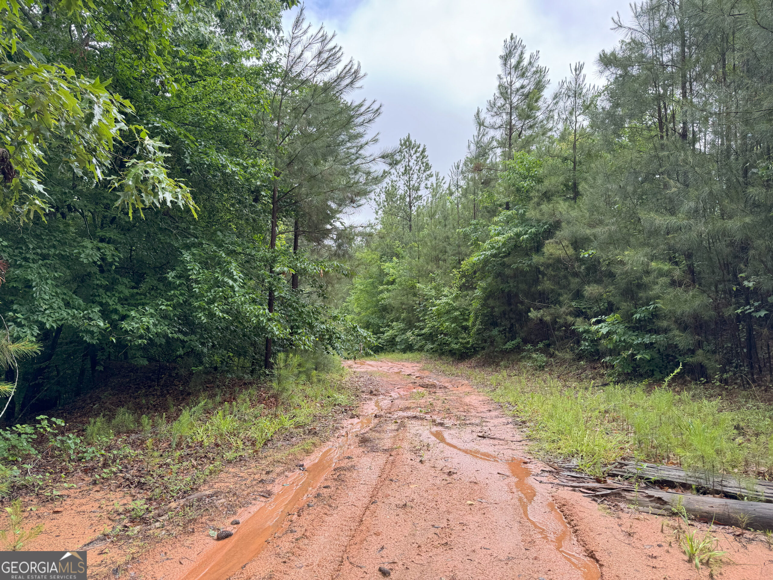 4 Emmaus Drive Elberton, GA 30635