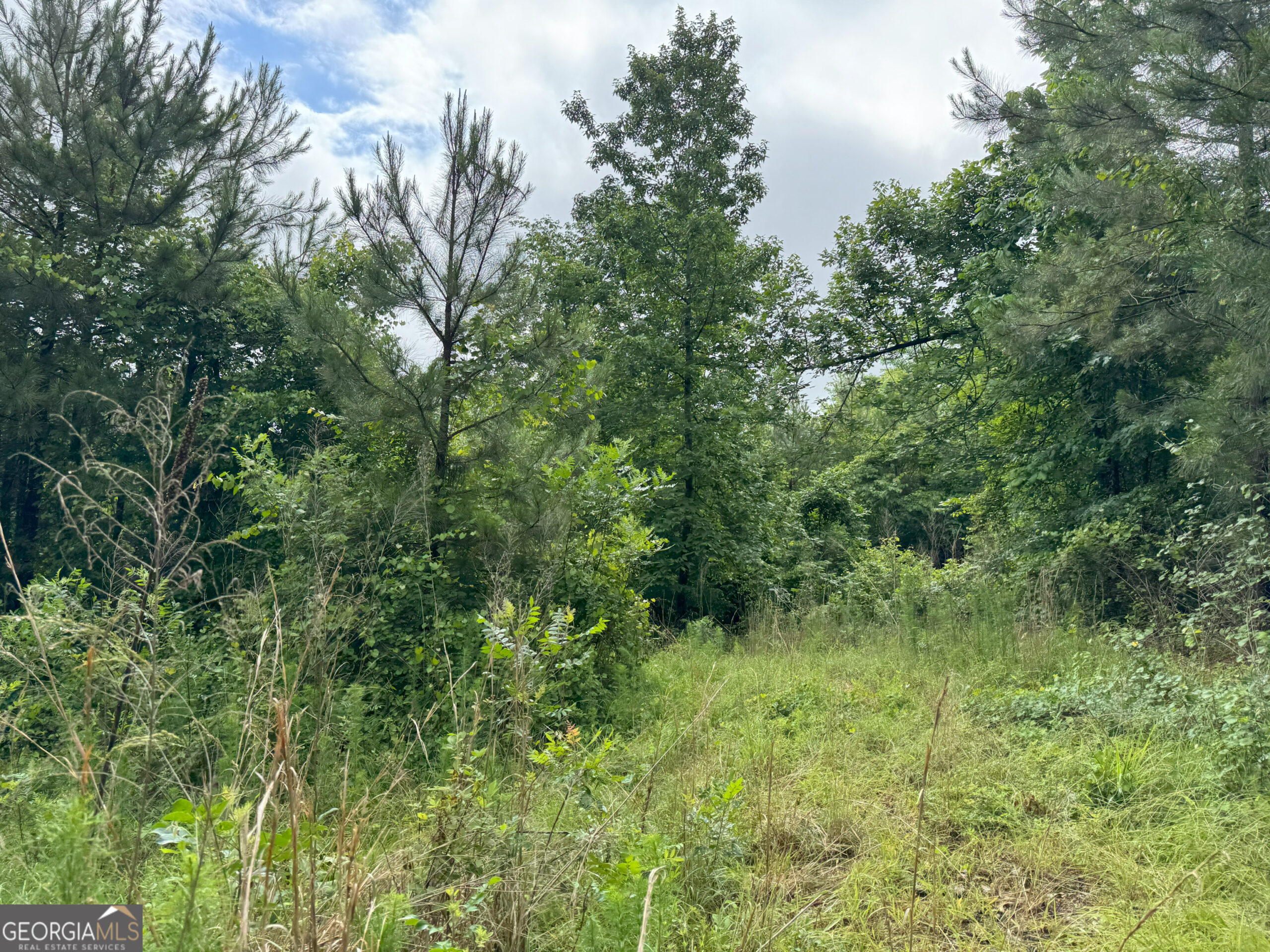 4 Emmaus Drive Elberton, GA 30635