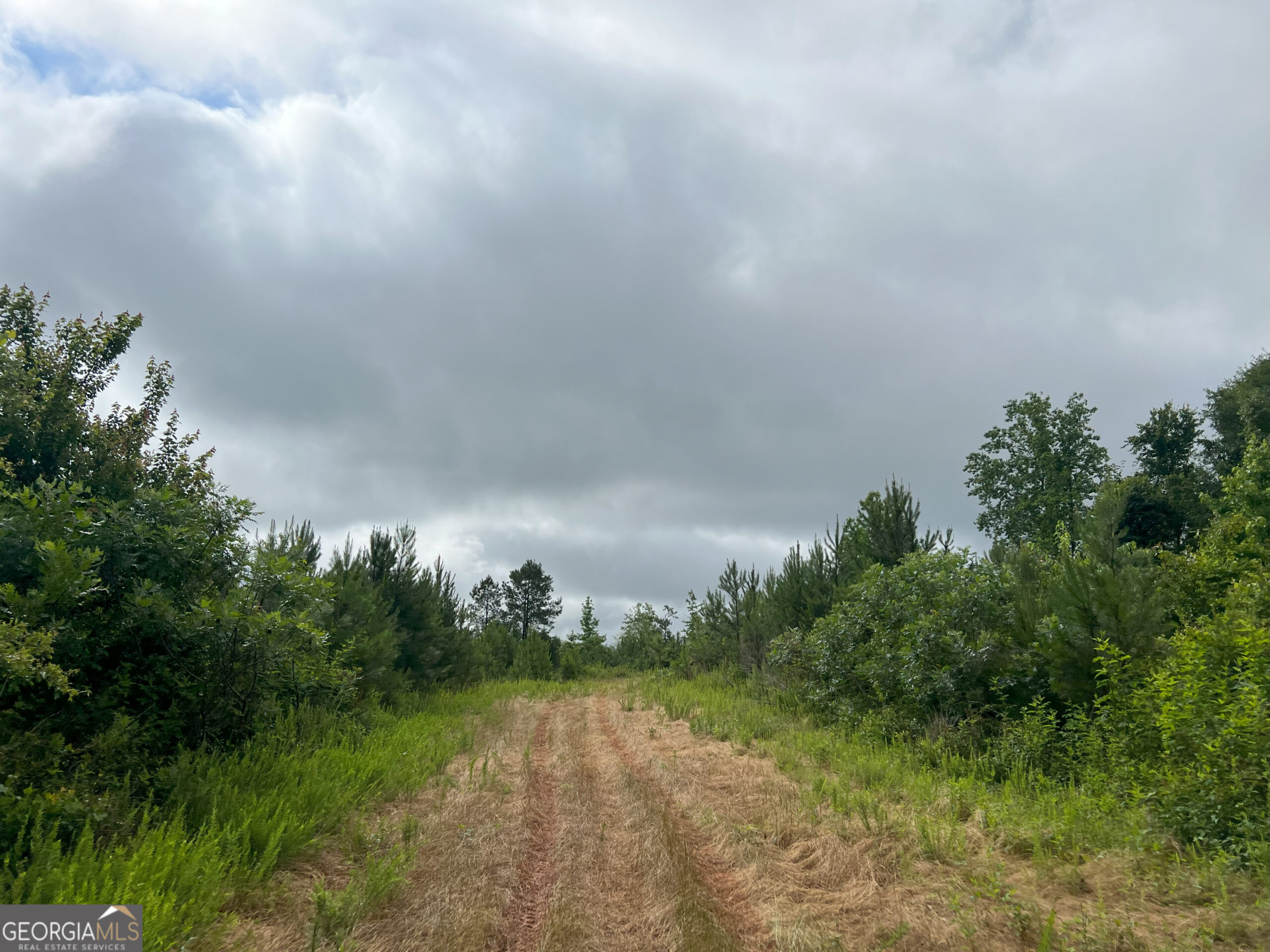 4 Emmaus Drive Elberton, GA 30635