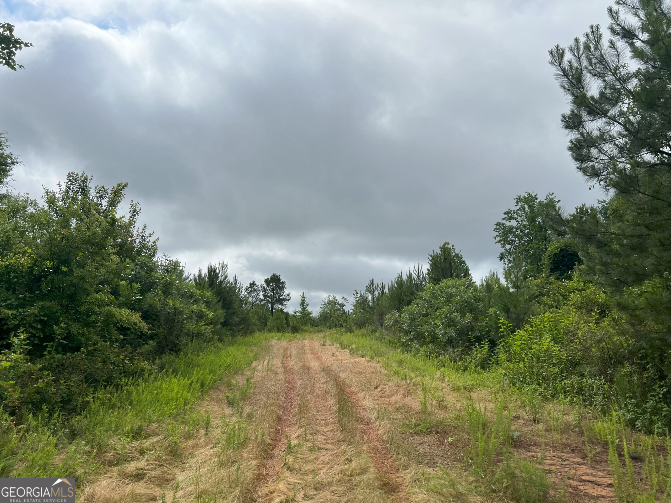 4 Emmaus Drive Elberton, GA 30635