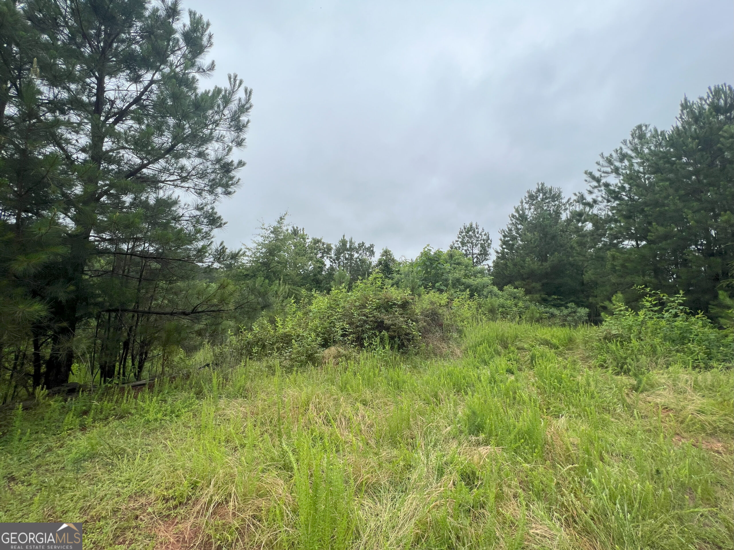 4 Emmaus Drive Elberton, GA 30635