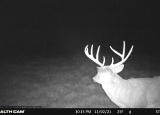Hunting and Fishing Property for sale in Richland County, Wisconsin