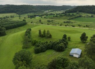 Recreational Land for Sale in Hillsboro, WI – 50.90 Acres of Scenic Wilderness in Vernon County