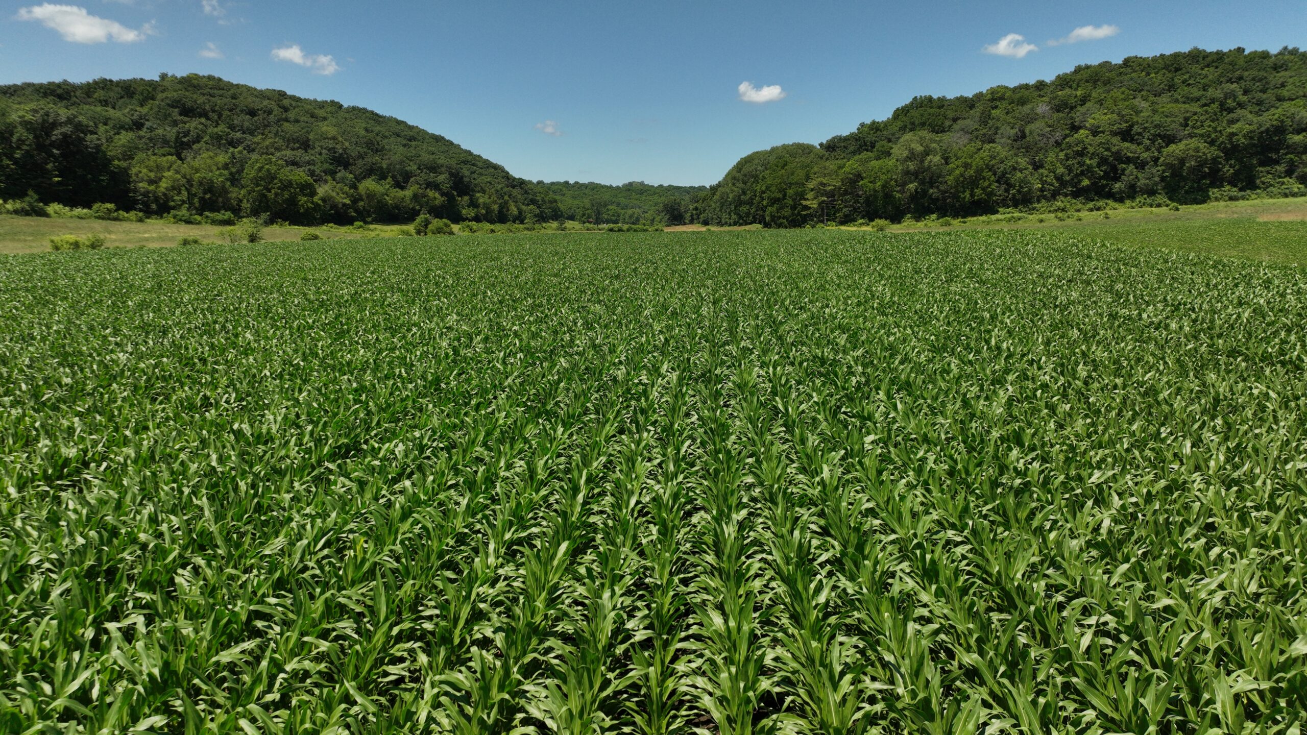Historic 306-Acre Legacy Farm in Iowa County, Wisconsin