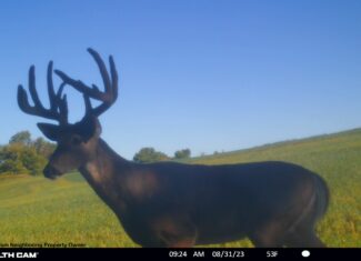 Hunting and Fishing Property for sale in Richland County, Wisconsin
