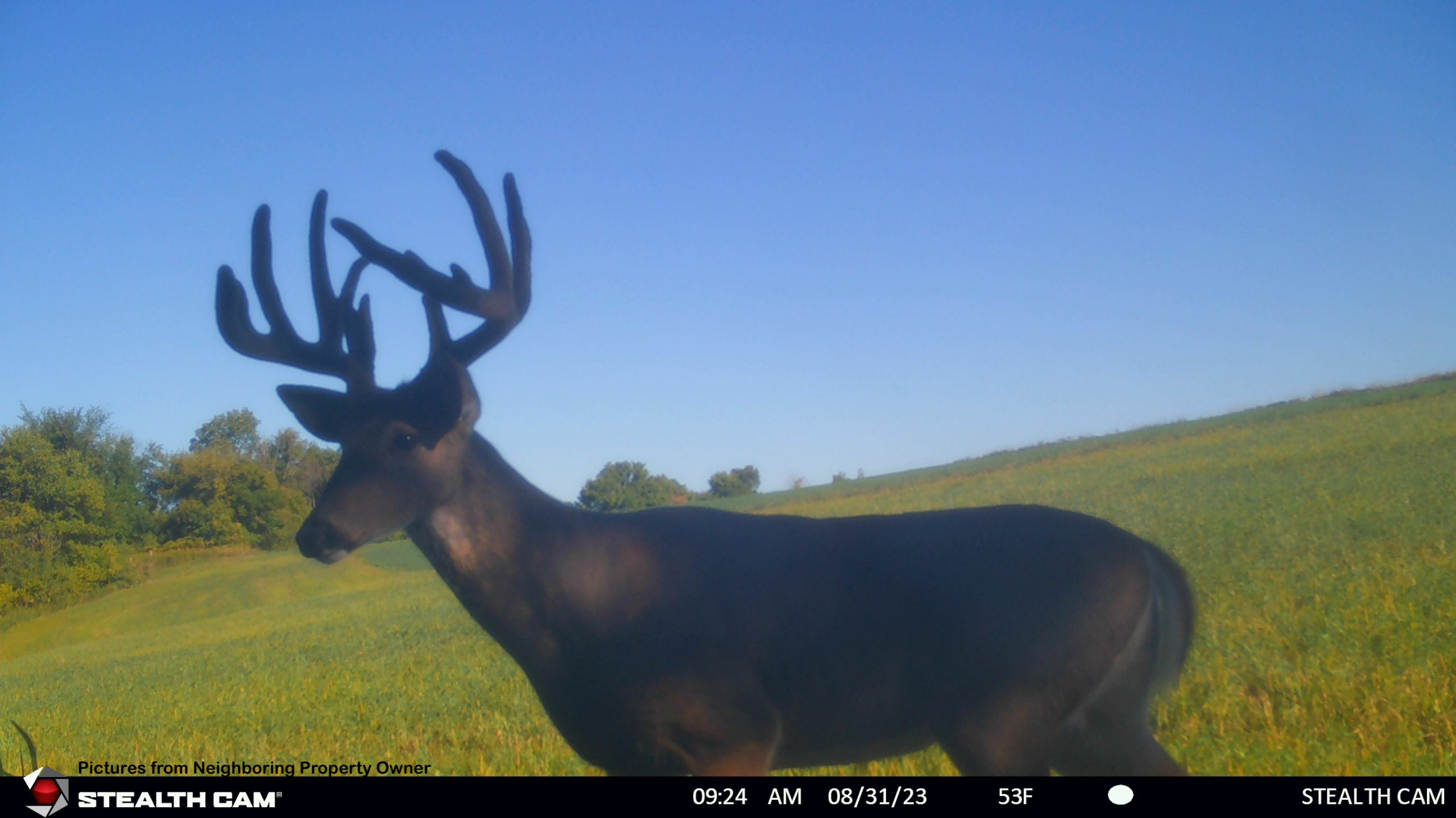 Hunting and Fishing Property for sale in Richland County, Wisconsin