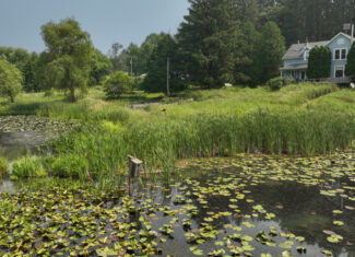Hobby Farm for Sale in Juneau County, Wisconsin