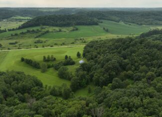 Recreational Land for Sale in Hillsboro, WI – 50.90 Acres of Scenic Wilderness in Vernon County