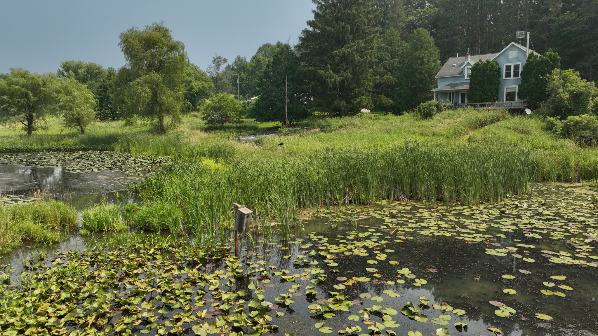 Hobby Farm for Sale in Juneau County, Wisconsin