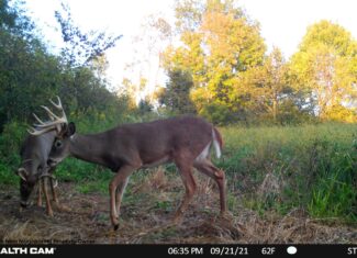 Hunting and Fishing Property for sale in Richland County, Wisconsin