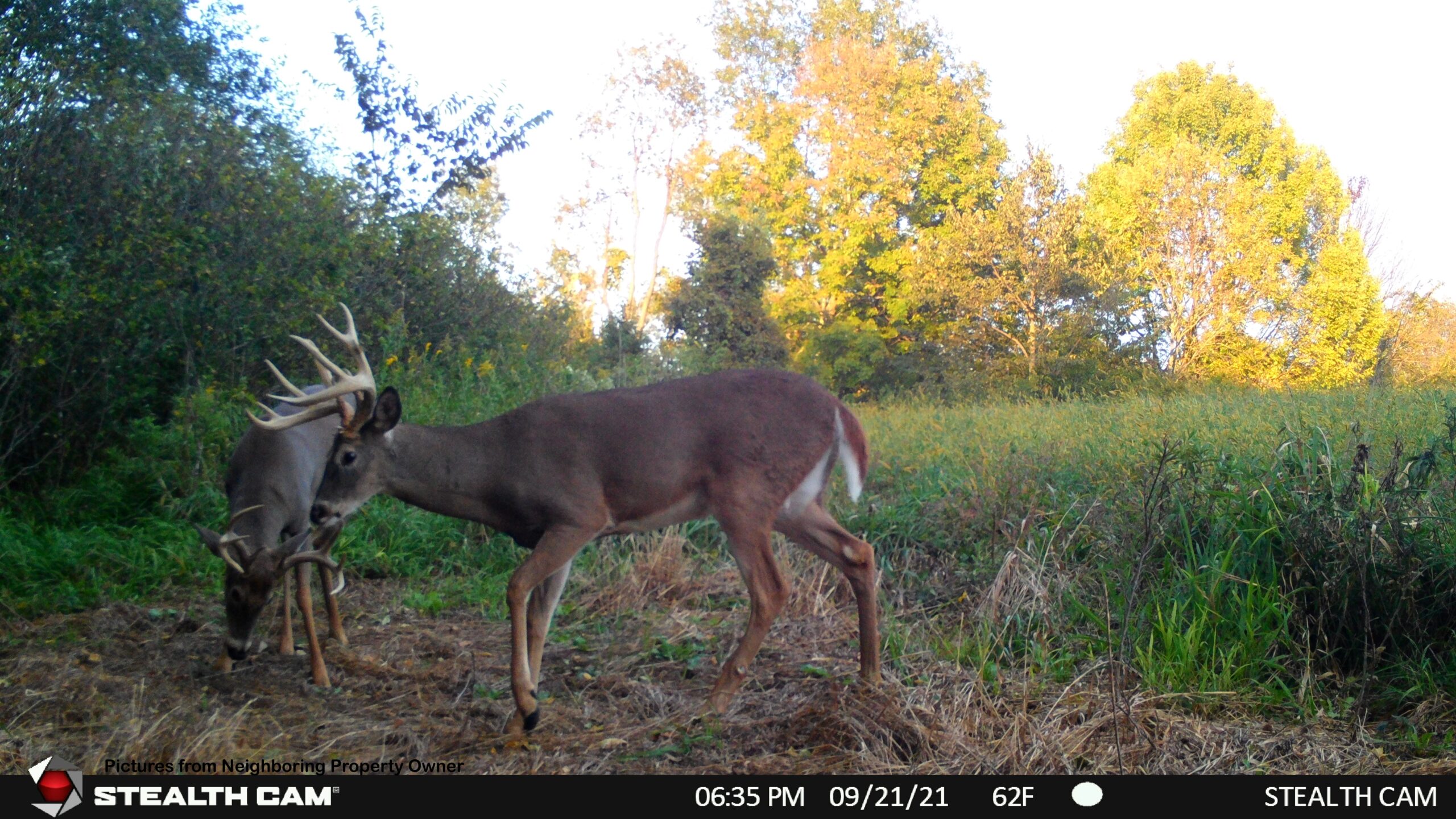 Hunting and Fishing Property for sale in Richland County, Wisconsin