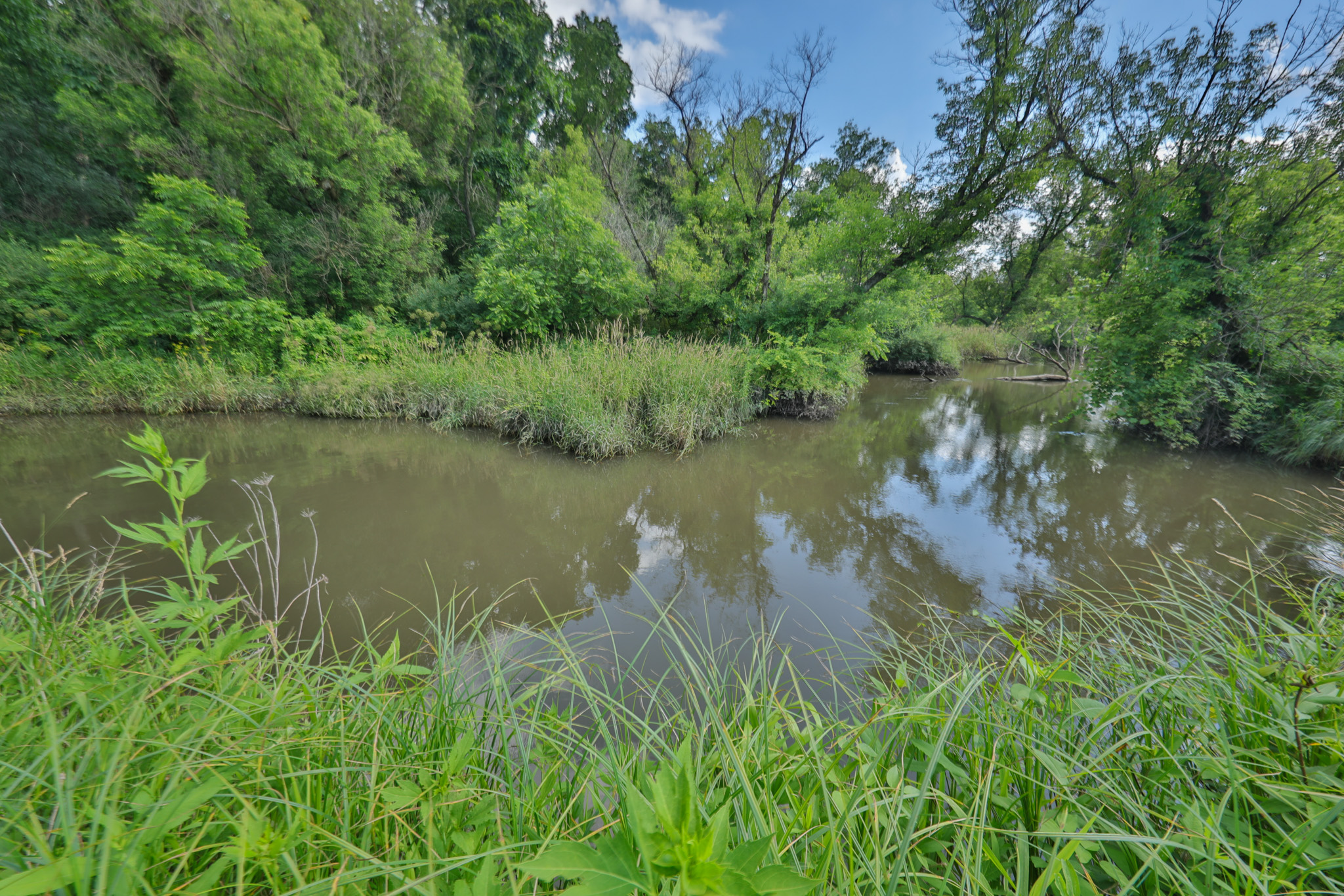 Historic 306-Acre Legacy Farm in Iowa County, Wisconsin