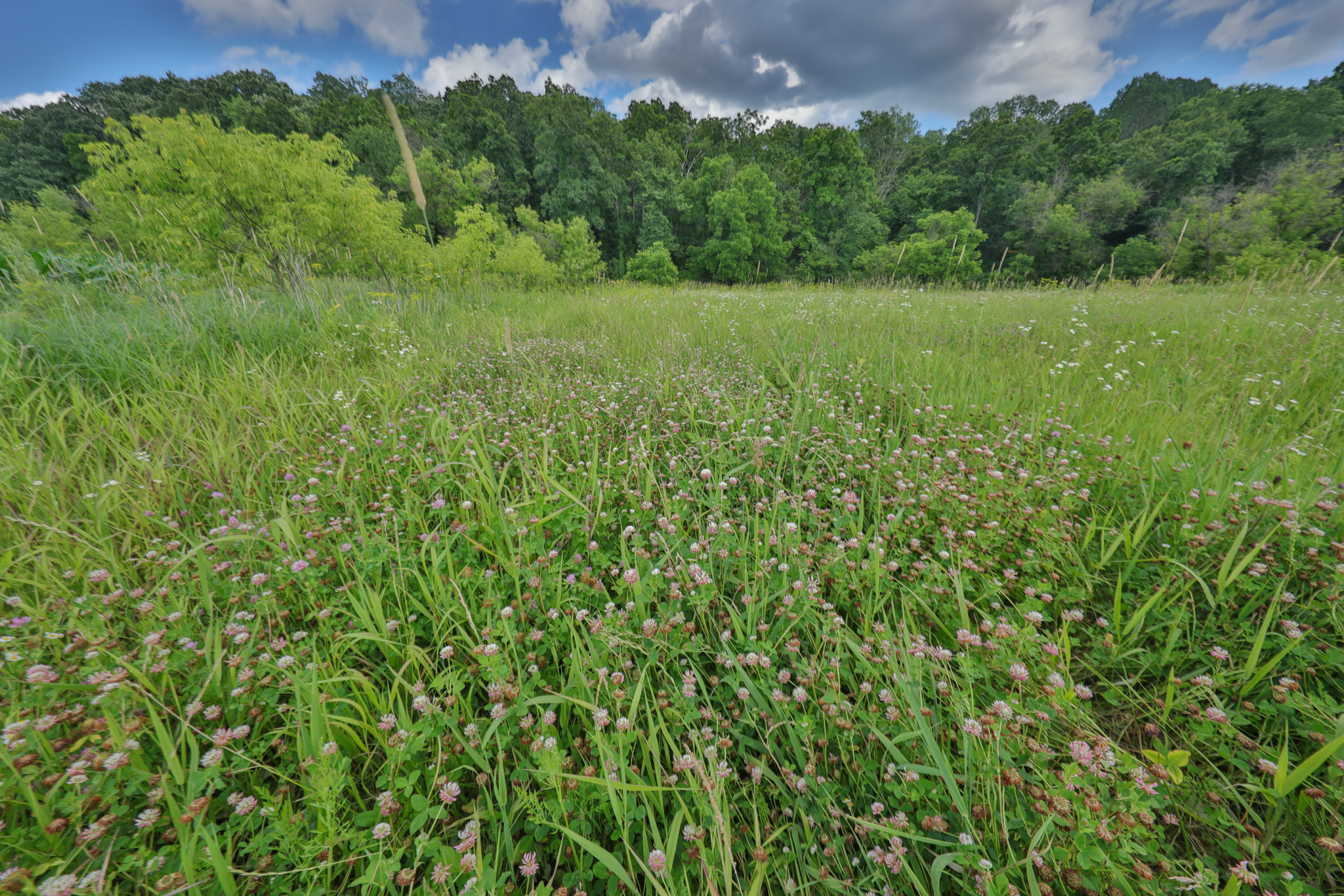 Historic 306-Acre Legacy Farm in Iowa County, Wisconsin