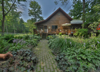 Private 40-Acre Cabin Retreat for Sale in Hillsboro, Wisconsin – Vernon County