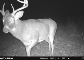 Hunting and Fishing Property for sale in Richland County, Wisconsin