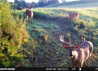 Hunting and Fishing Property for sale in Richland County, Wisconsin