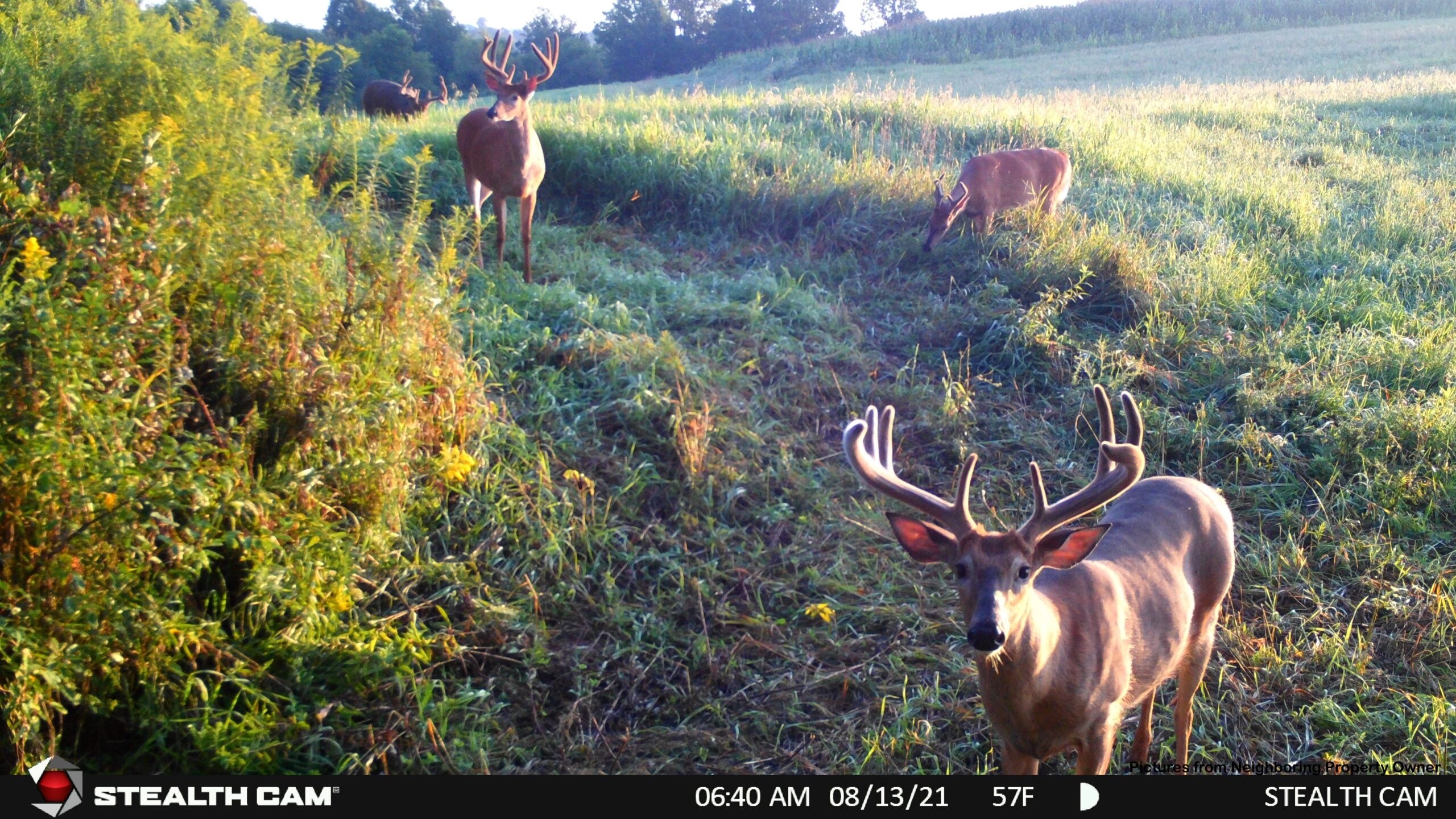 Hunting and Fishing Property for sale in Richland County, Wisconsin