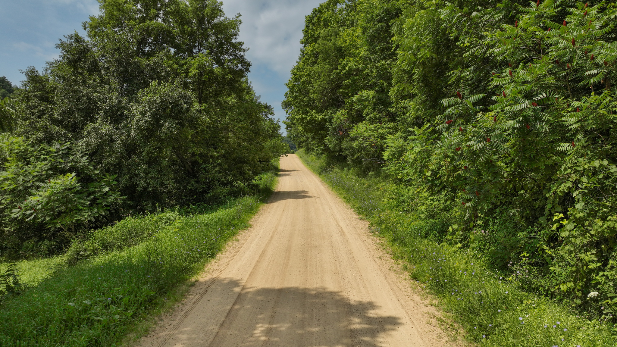 Hunting and Fishing Property for sale in Richland County, Wisconsin