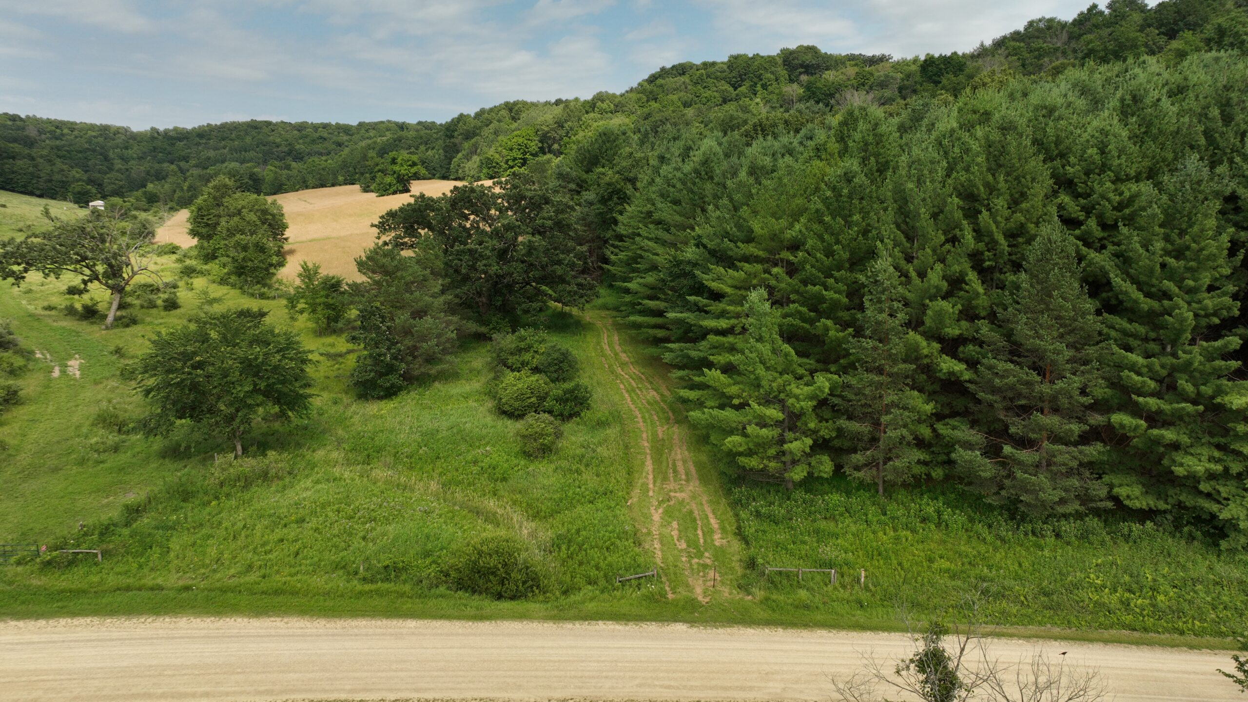 Recreational Land for Sale in Hillsboro, WI – 50.90 Acres of Scenic Wilderness in Vernon County