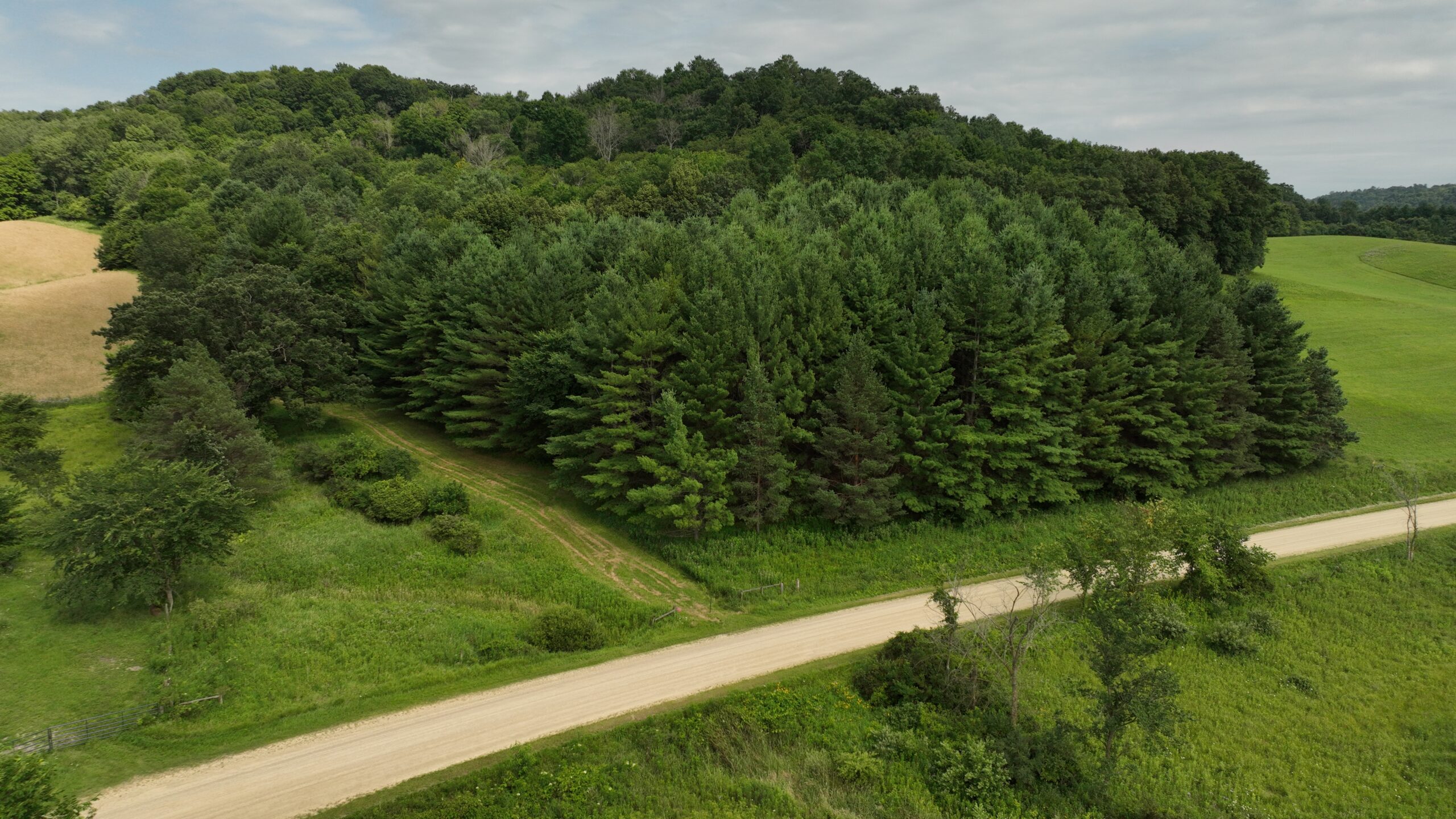 Recreational Land for Sale in Hillsboro, WI – 50.90 Acres of Scenic Wilderness in Vernon County
