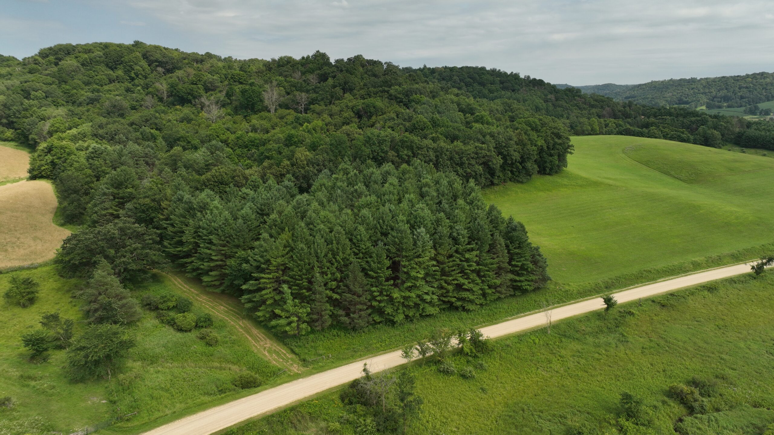 Recreational Land for Sale in Hillsboro, WI – 50.90 Acres of Scenic Wilderness in Vernon County