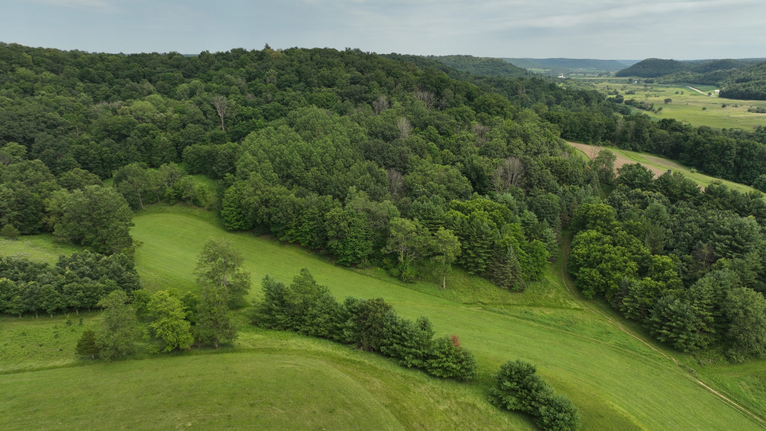 Recreational Land for Sale in Hillsboro, WI – 50.90 Acres of Scenic Wilderness in Vernon County