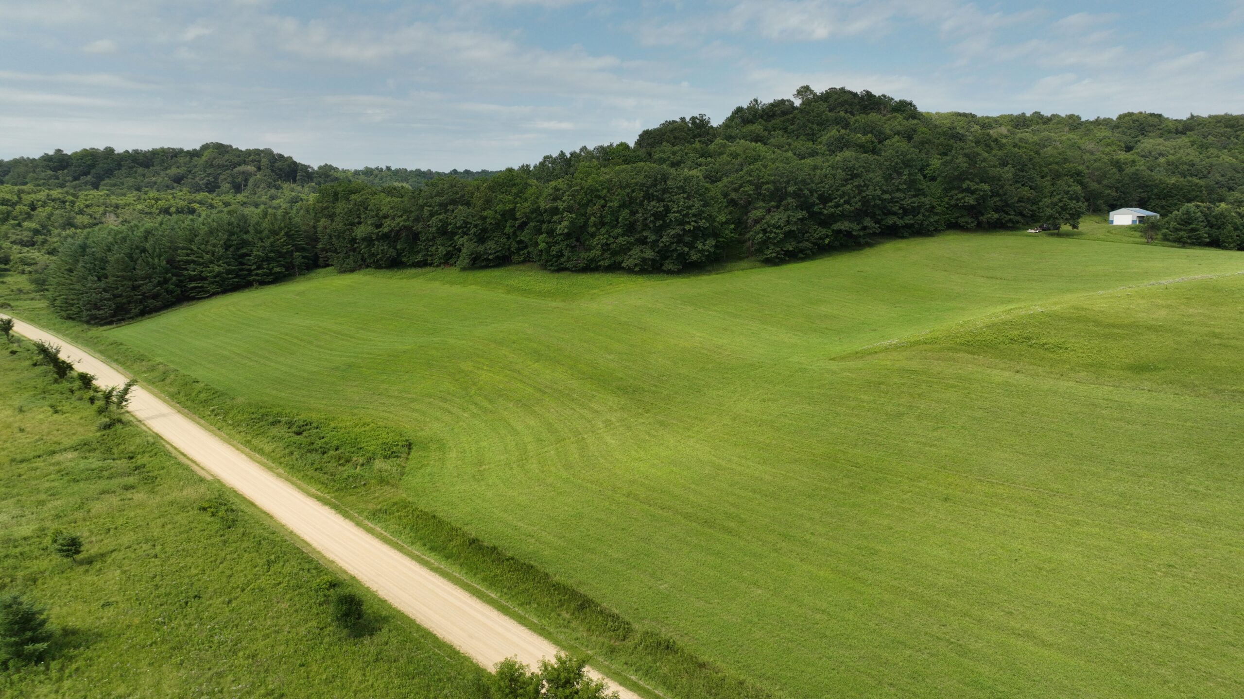 Recreational Land for Sale in Hillsboro, WI – 50.90 Acres of Scenic Wilderness in Vernon County